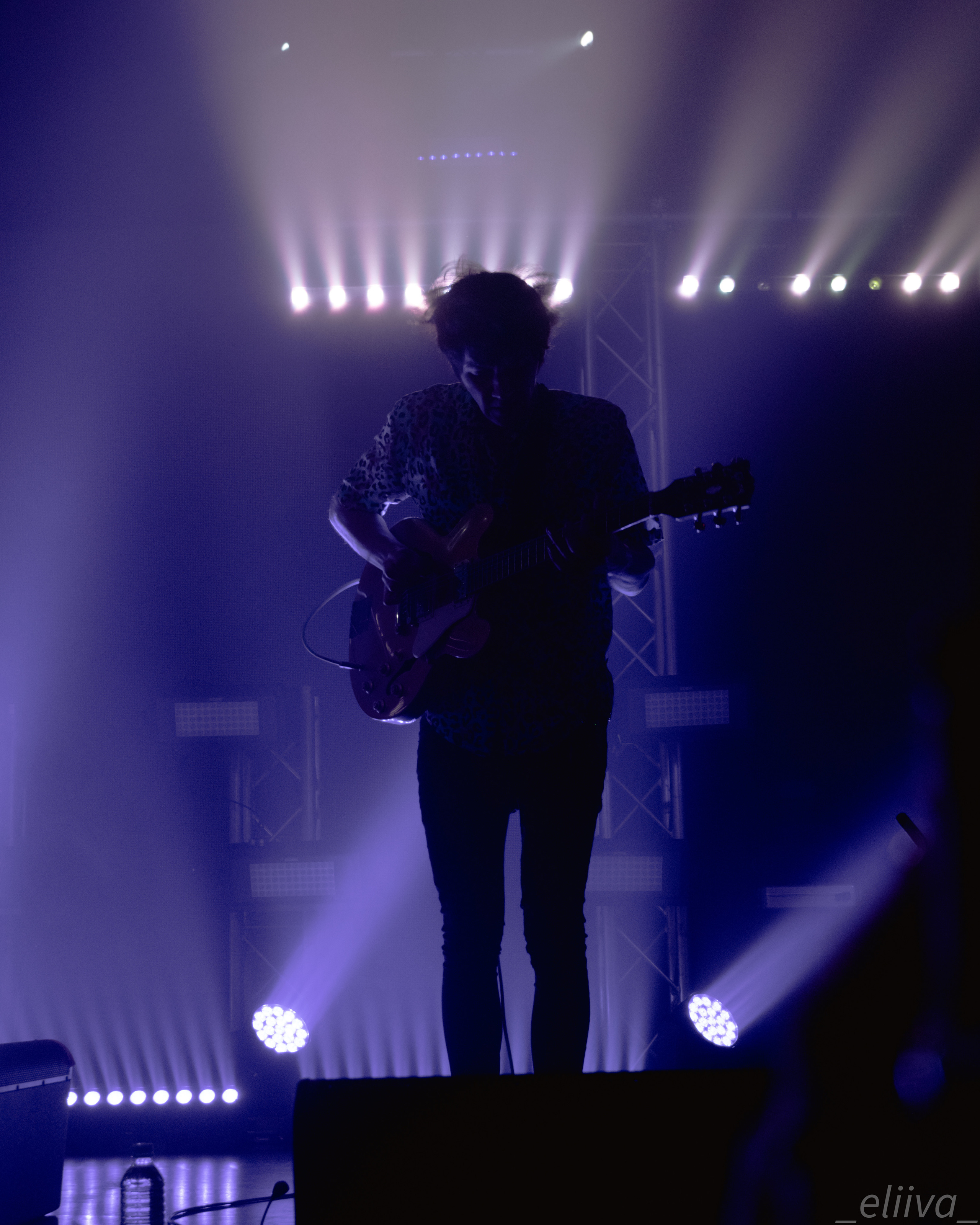 Дельфин. Концертный фотограф в Санкт-Петербурге