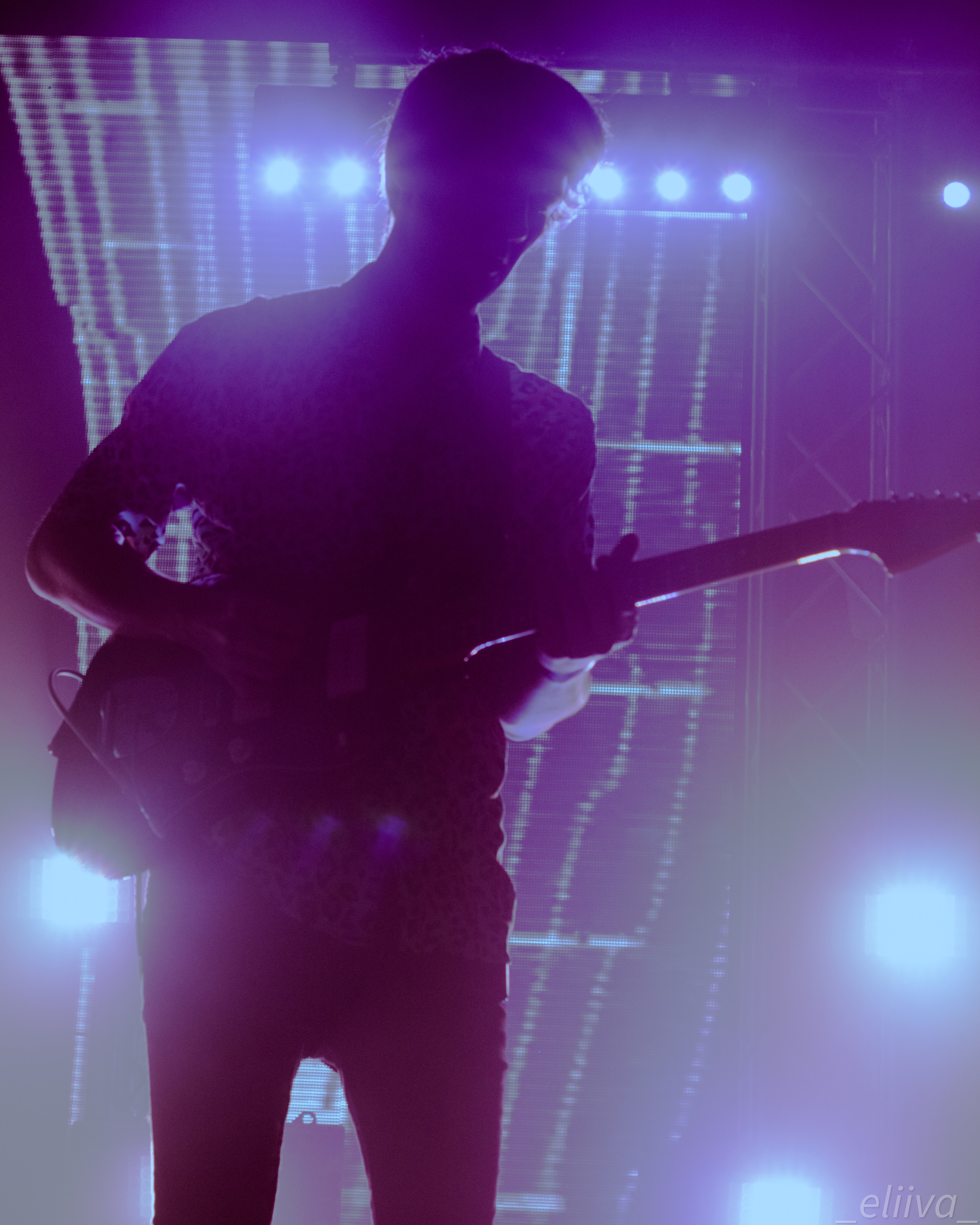 Дельфин. Концертный фотограф в Санкт-Петербурге