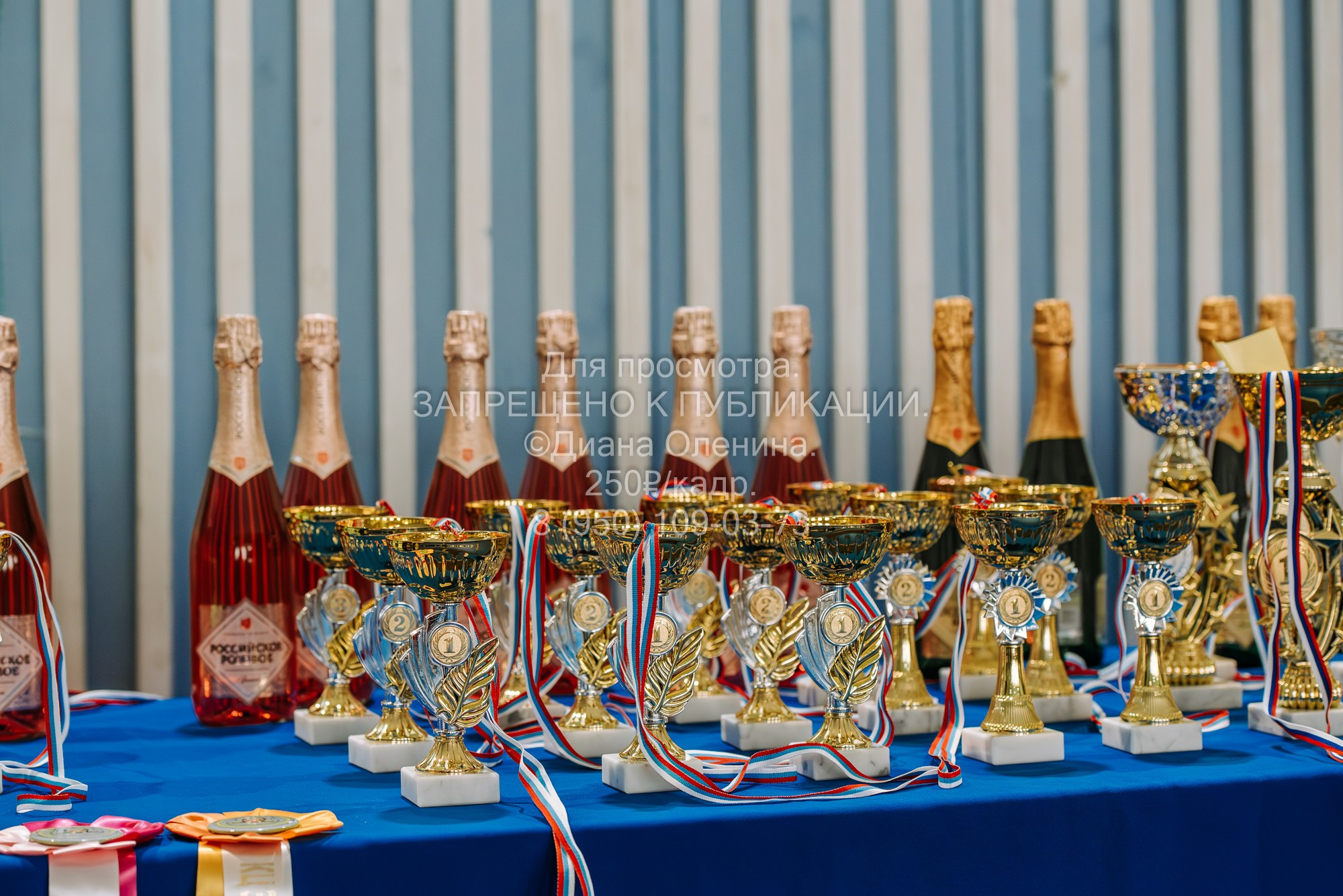 Национальная выставка собак всех пород ранга САС-IKU «Кубок Красноярск. Фотограф Диана Оленина Красноярск / Братск