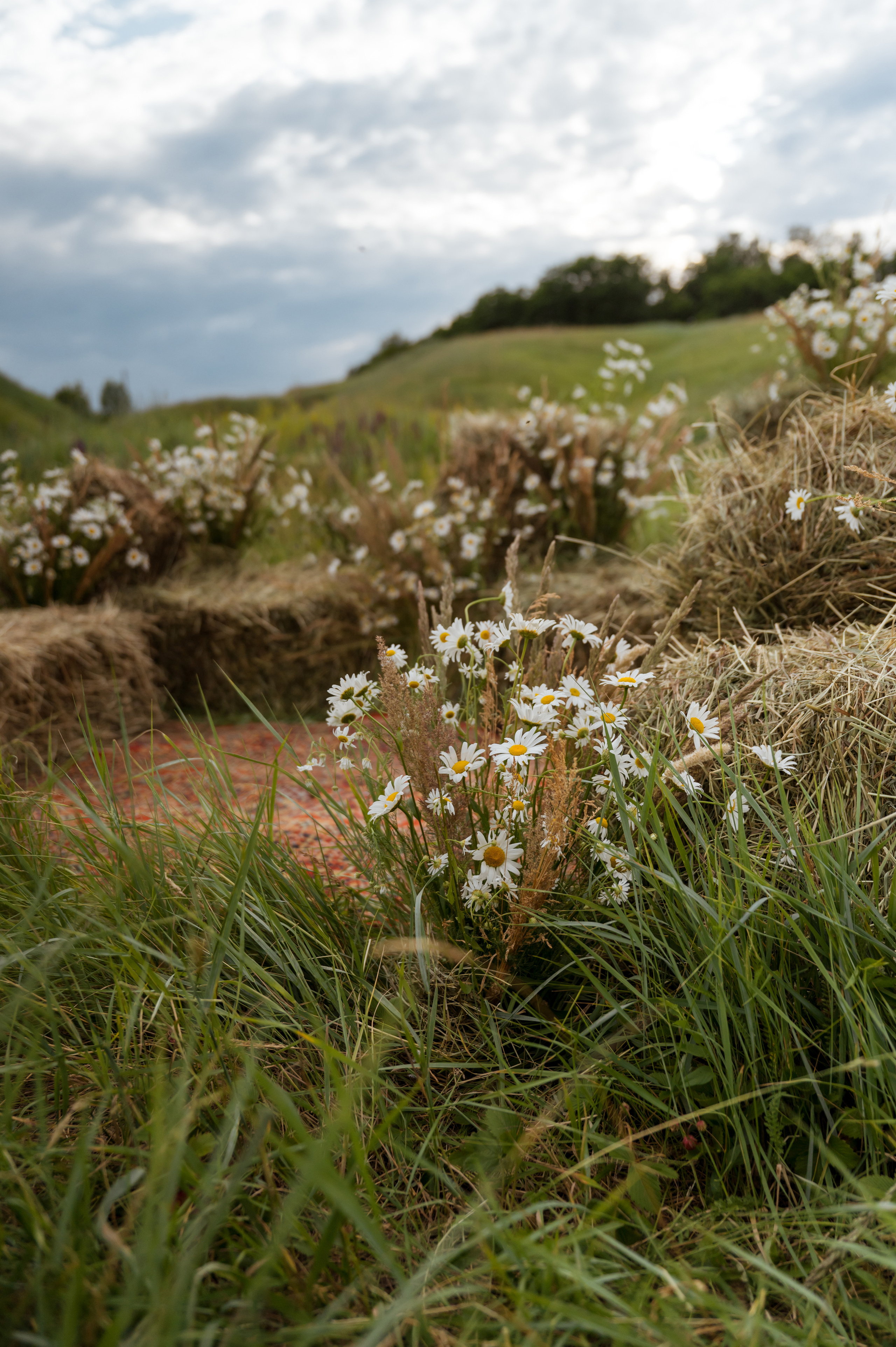 Ирина и Богдан. Свадебный и портретный фотограф в Белгороде Олеся Гавшина