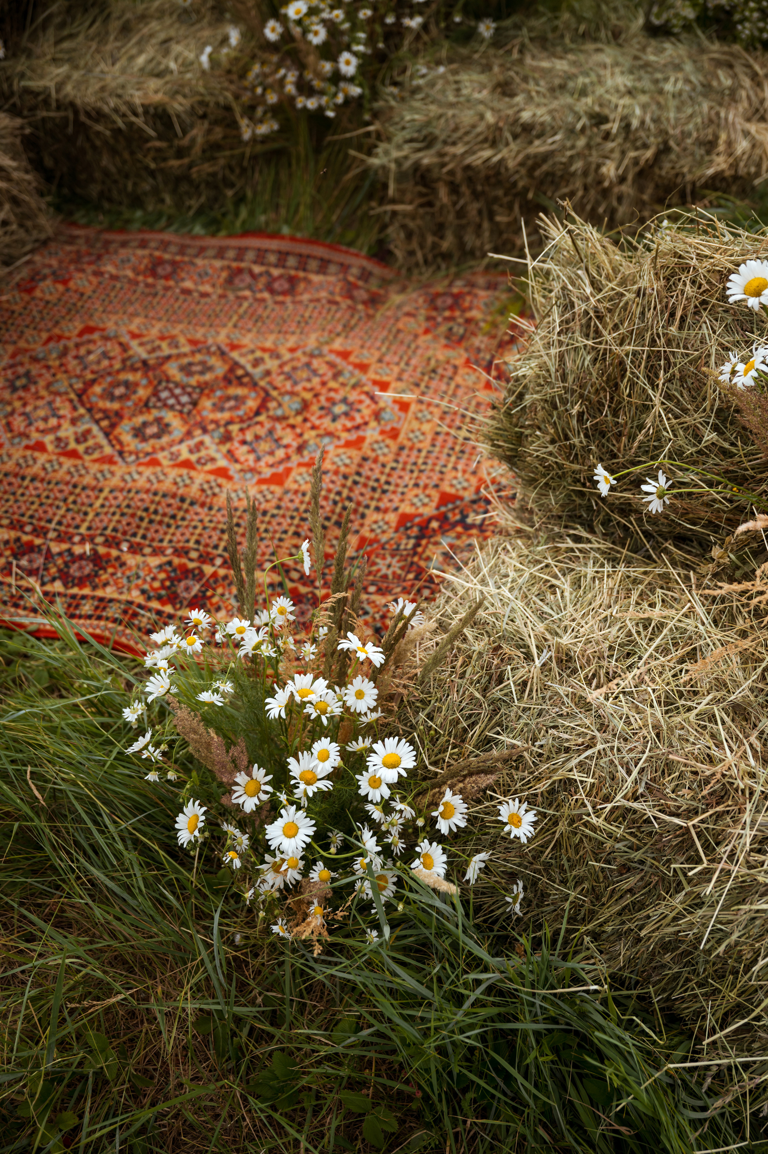 Ирина и Богдан. Свадебный и портретный фотограф в Белгороде Олеся Гавшина