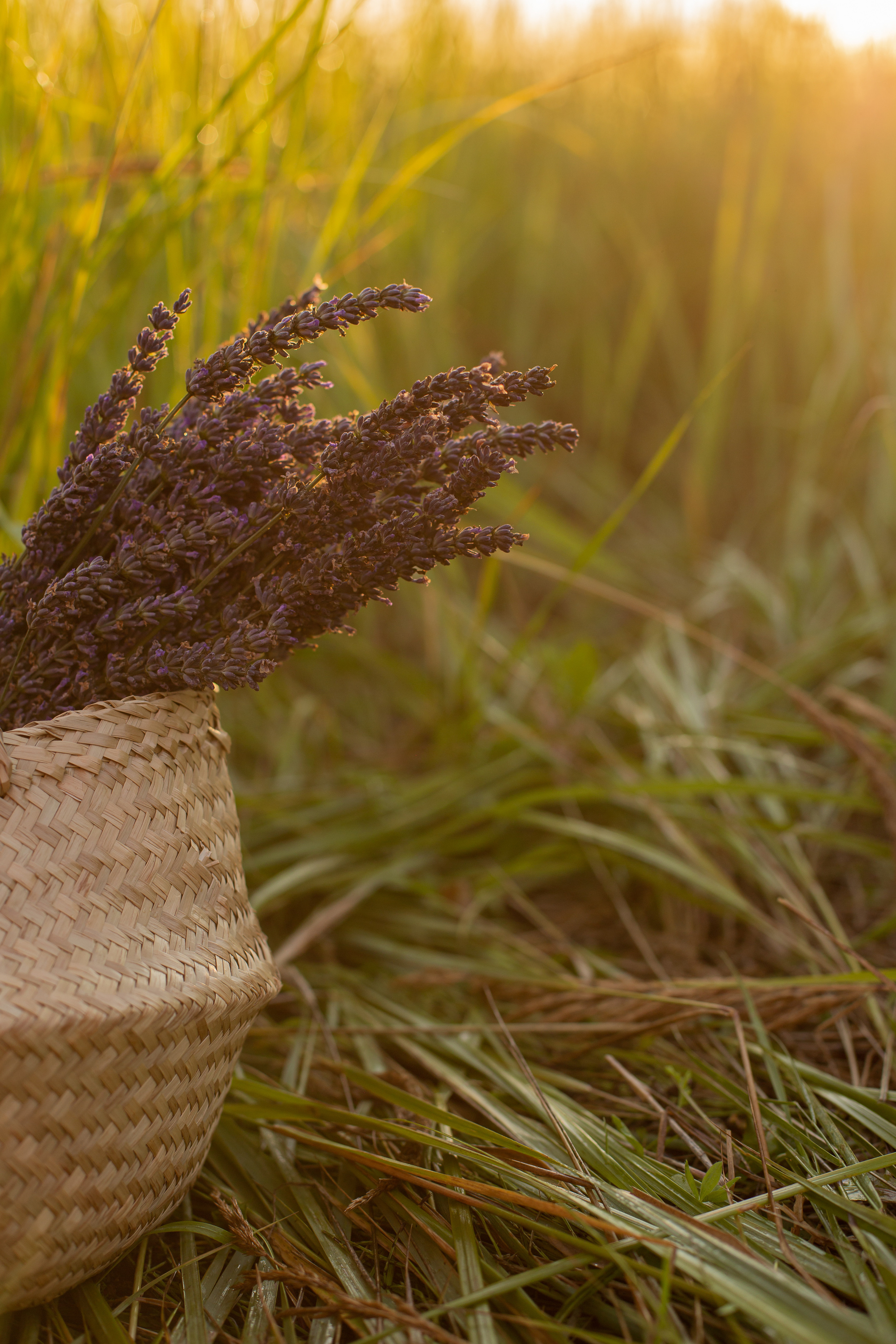 Florist Daria. Photographer in Montenegro — professional photoshoots