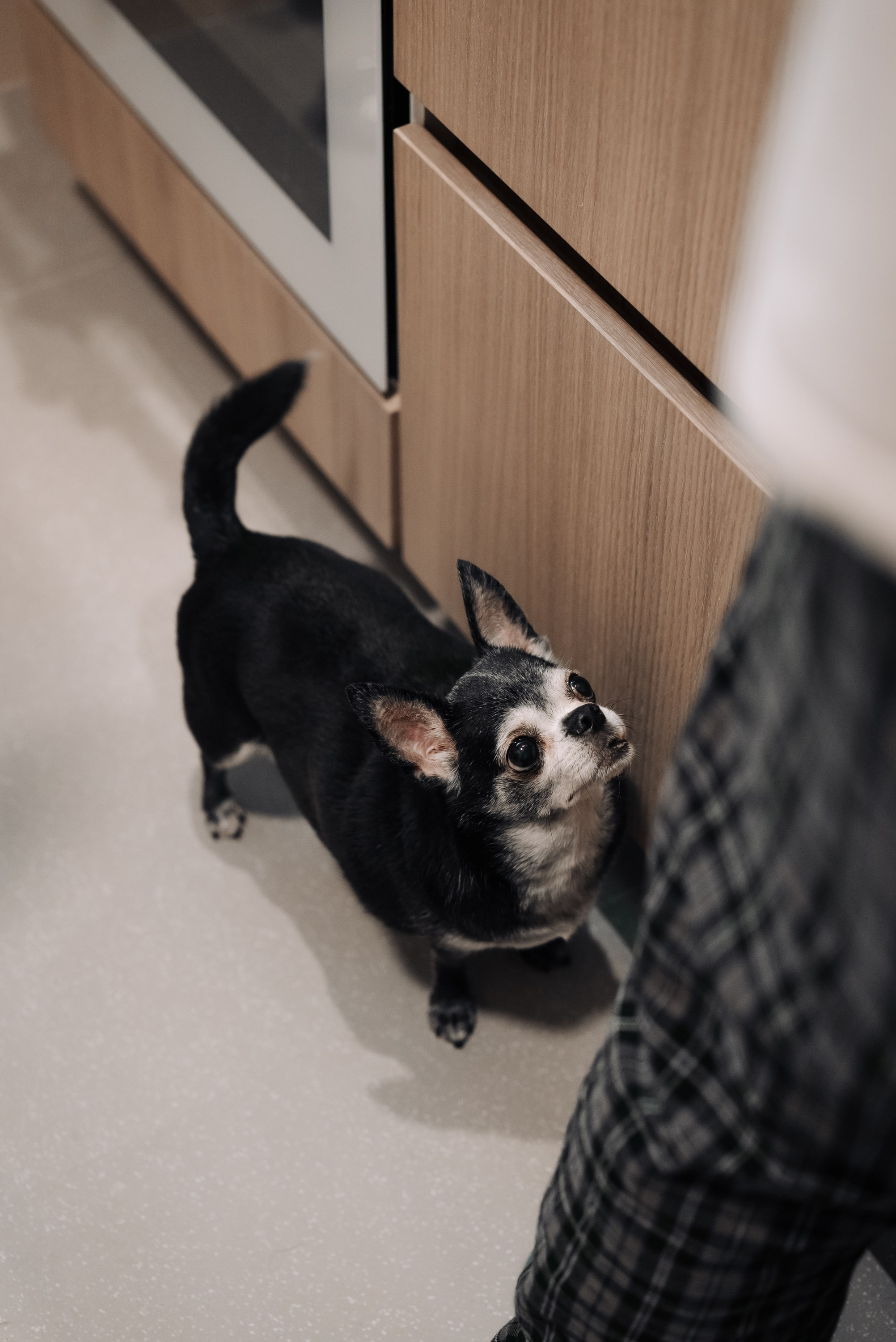 Семейная фотосессия Москва. Andrey Luzin | [yooroock] photographer