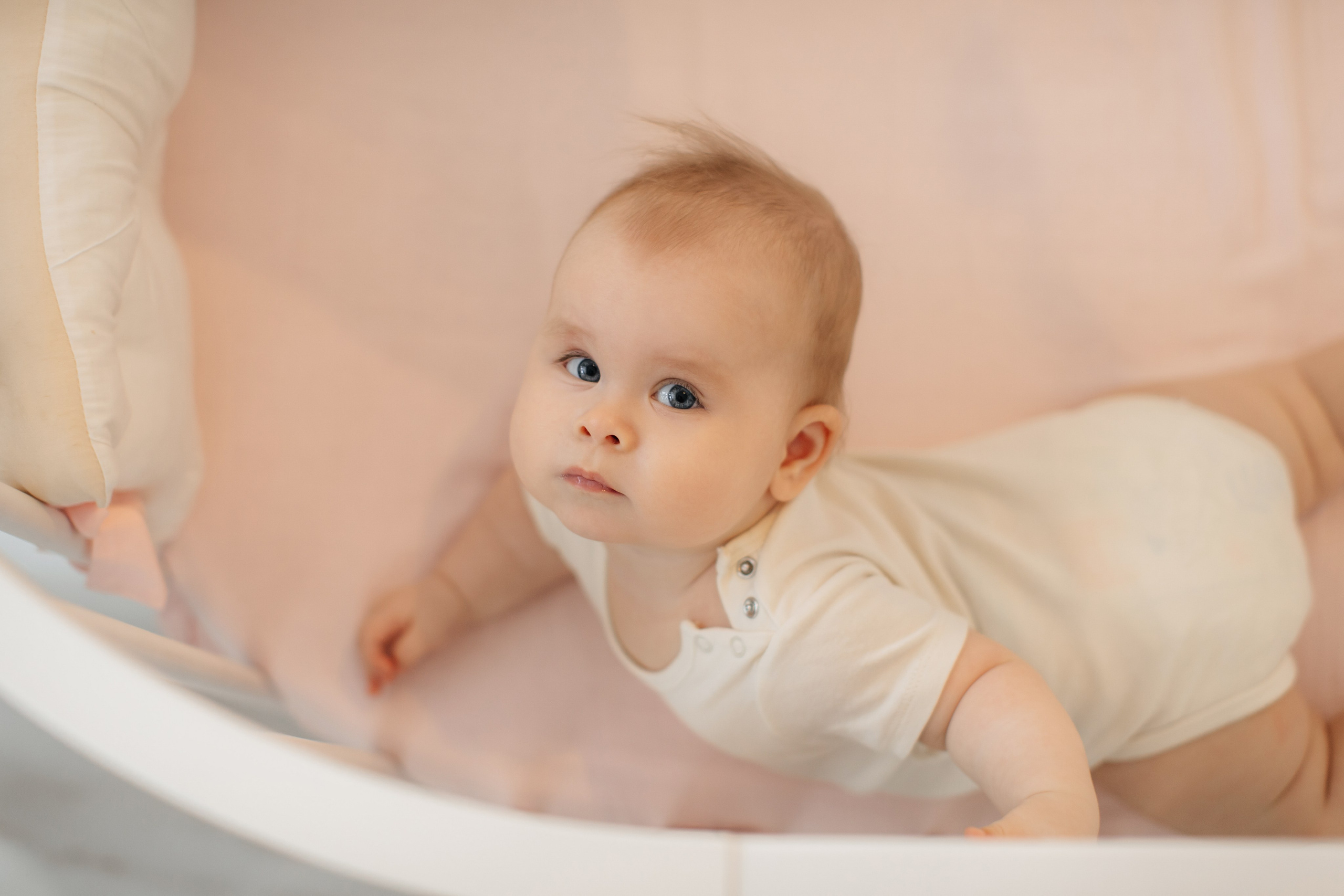 Николь. Свадебный, семейный фотограф Брянск, Москва — Виктория Антропова