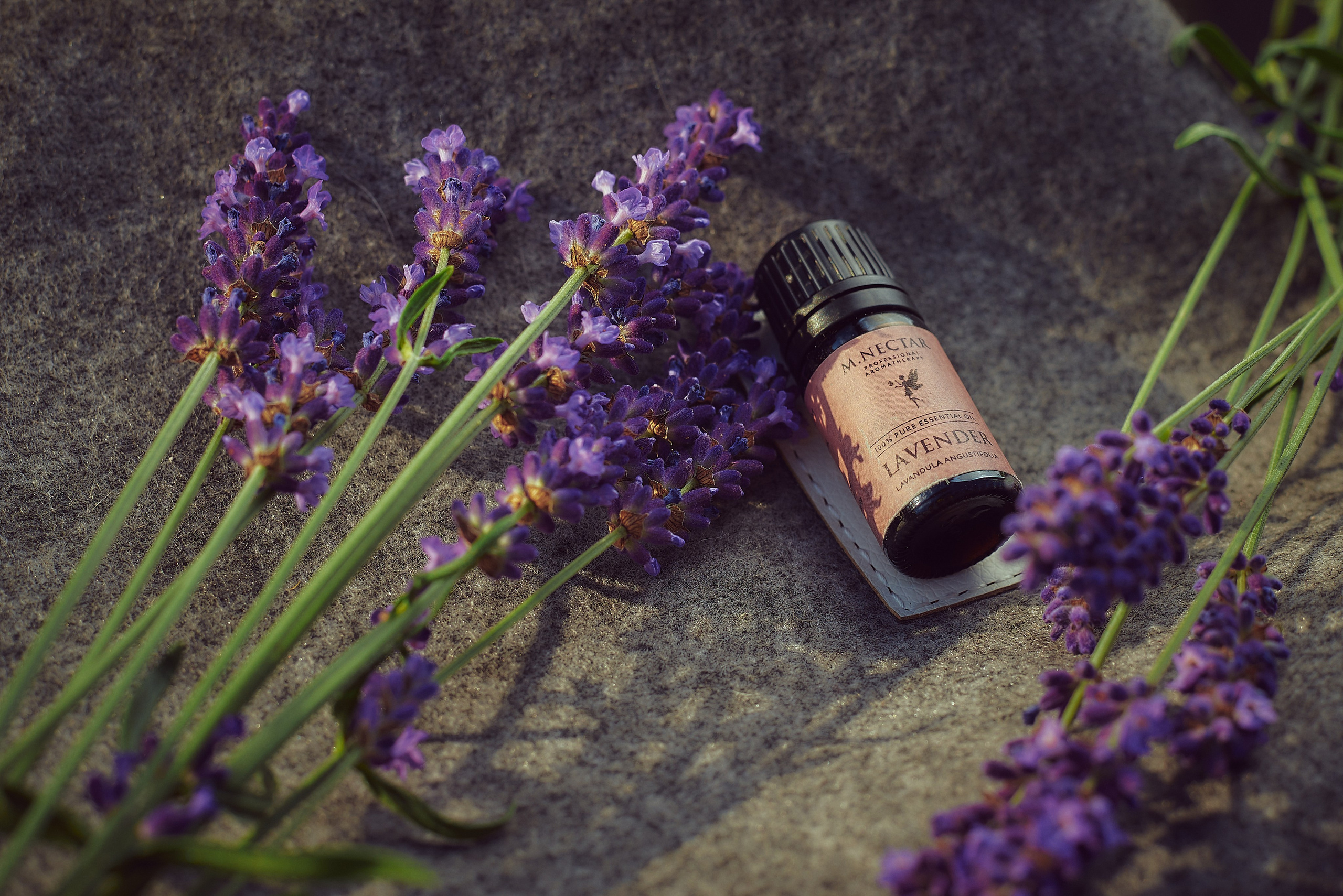 Фотограф Константин Кордонский