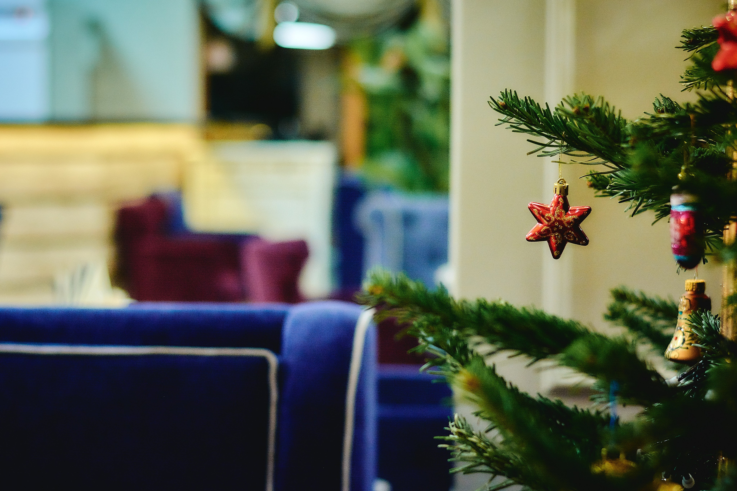 Ресторан. Запуск нового интерьера. Константин Кордонский | Интерьерный и food-фотограф в Кисловодске и КМВ