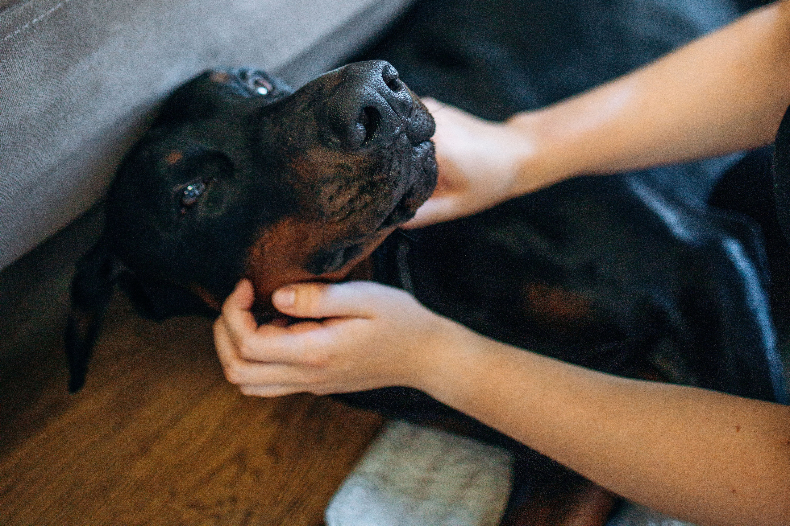 Катя и Конор