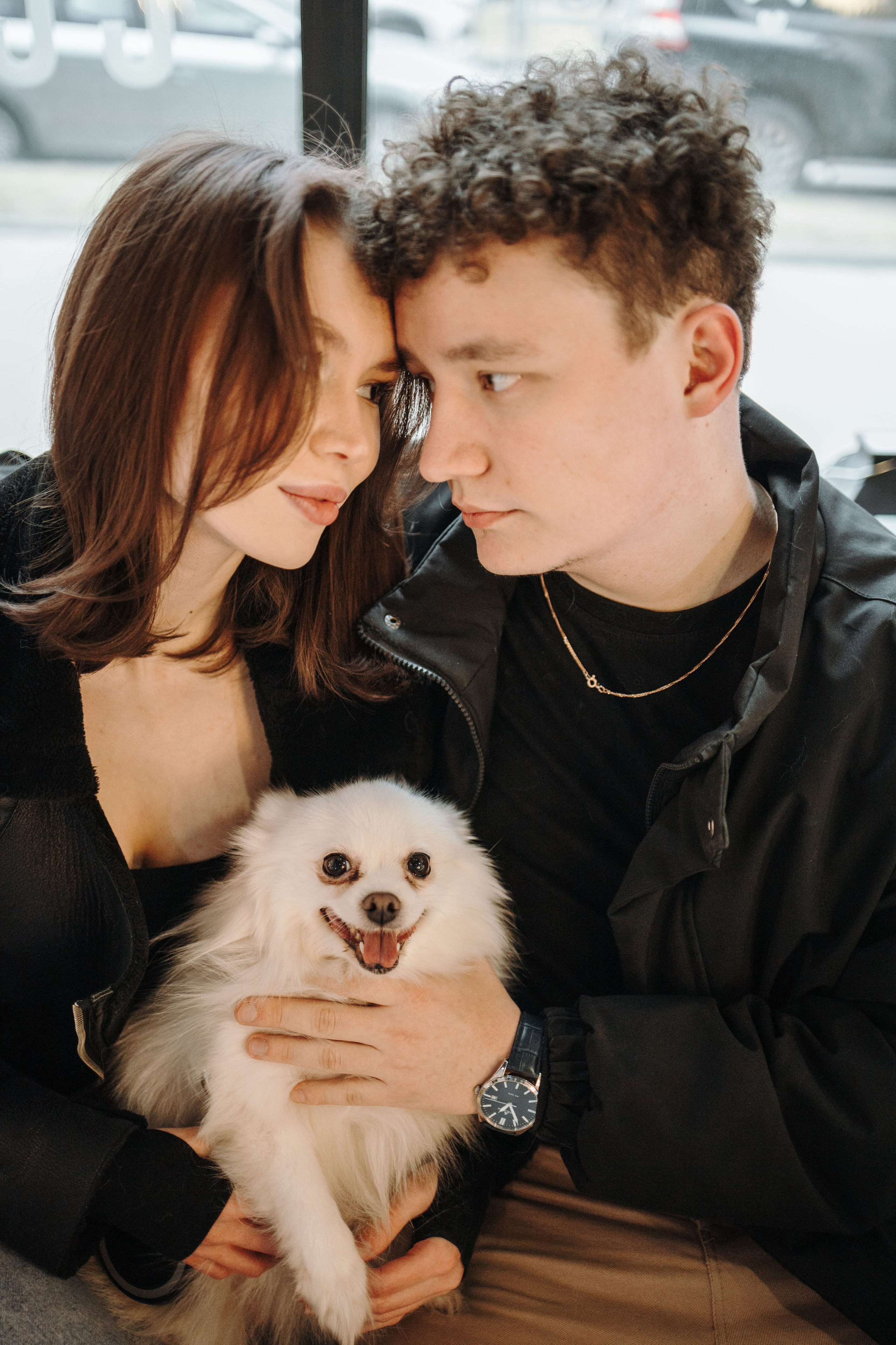 Шпиц Мася и ее семья