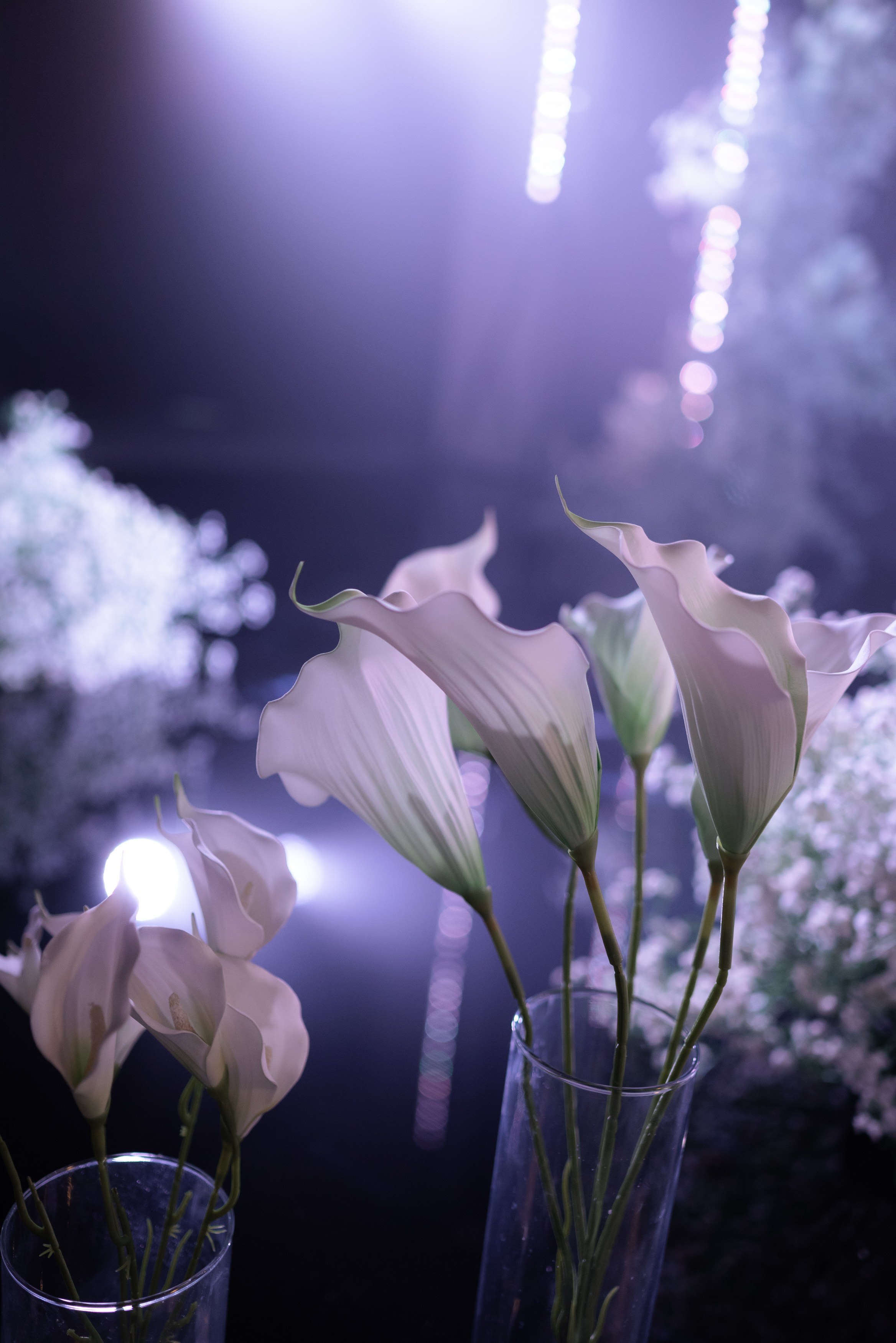 Иван и Ольга. Главная