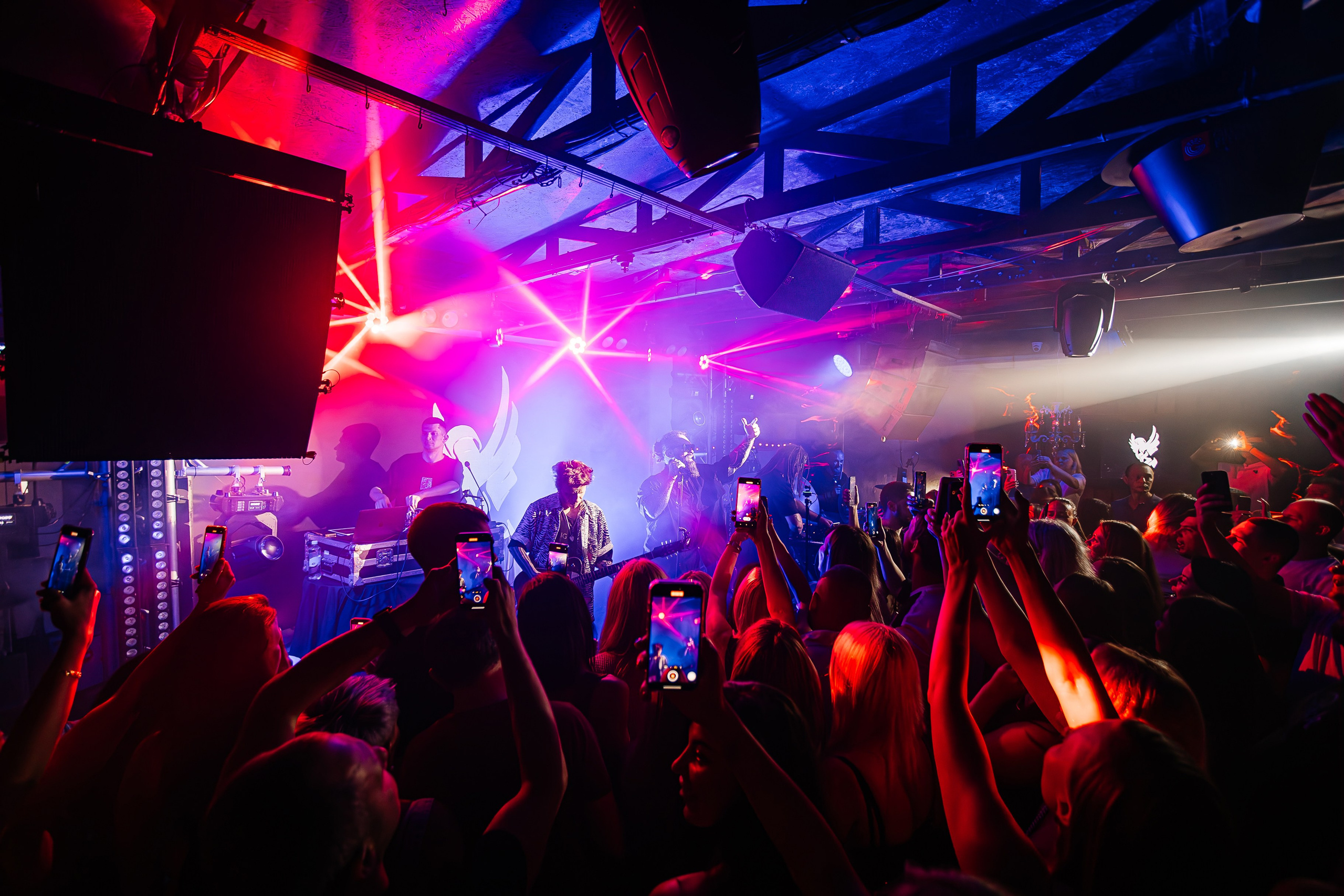 Бурито_Чайка_на_пляже_Ялта 23.08.2024. Аминов Руслан | Фотограф