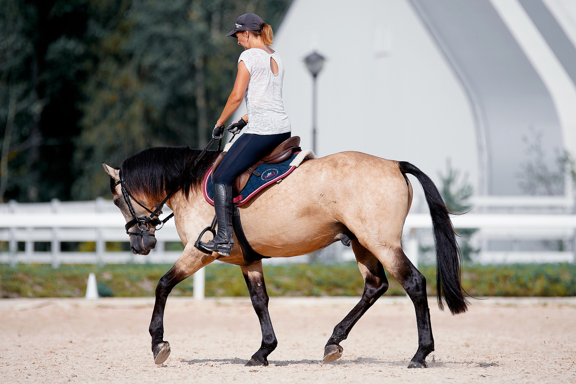 Тренировки. Конный фотограф Alesya Safe