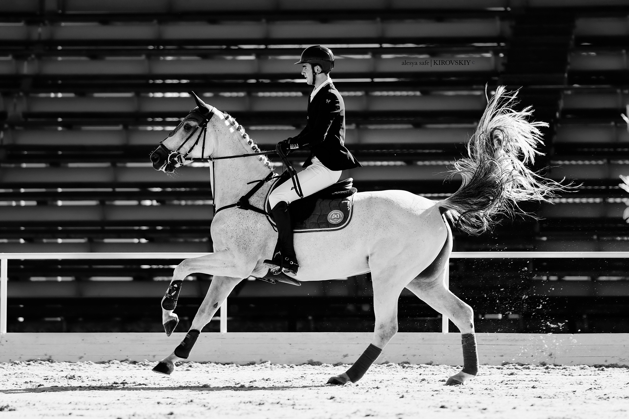 Кировский конный завод. Конный фотограф Alesya Safe