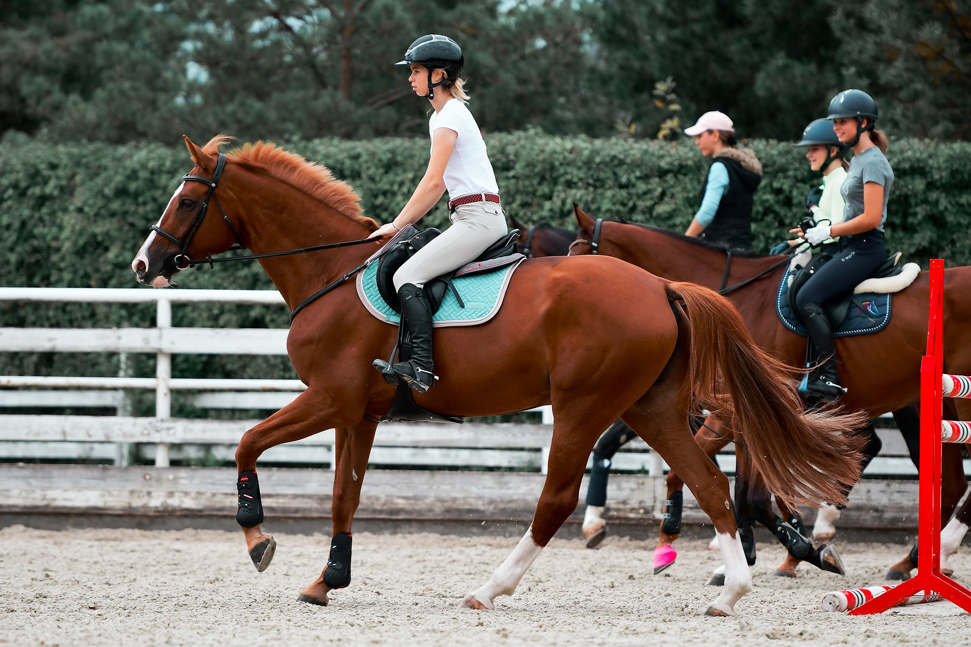 Тренировки. Конный фотограф Alesya Safe