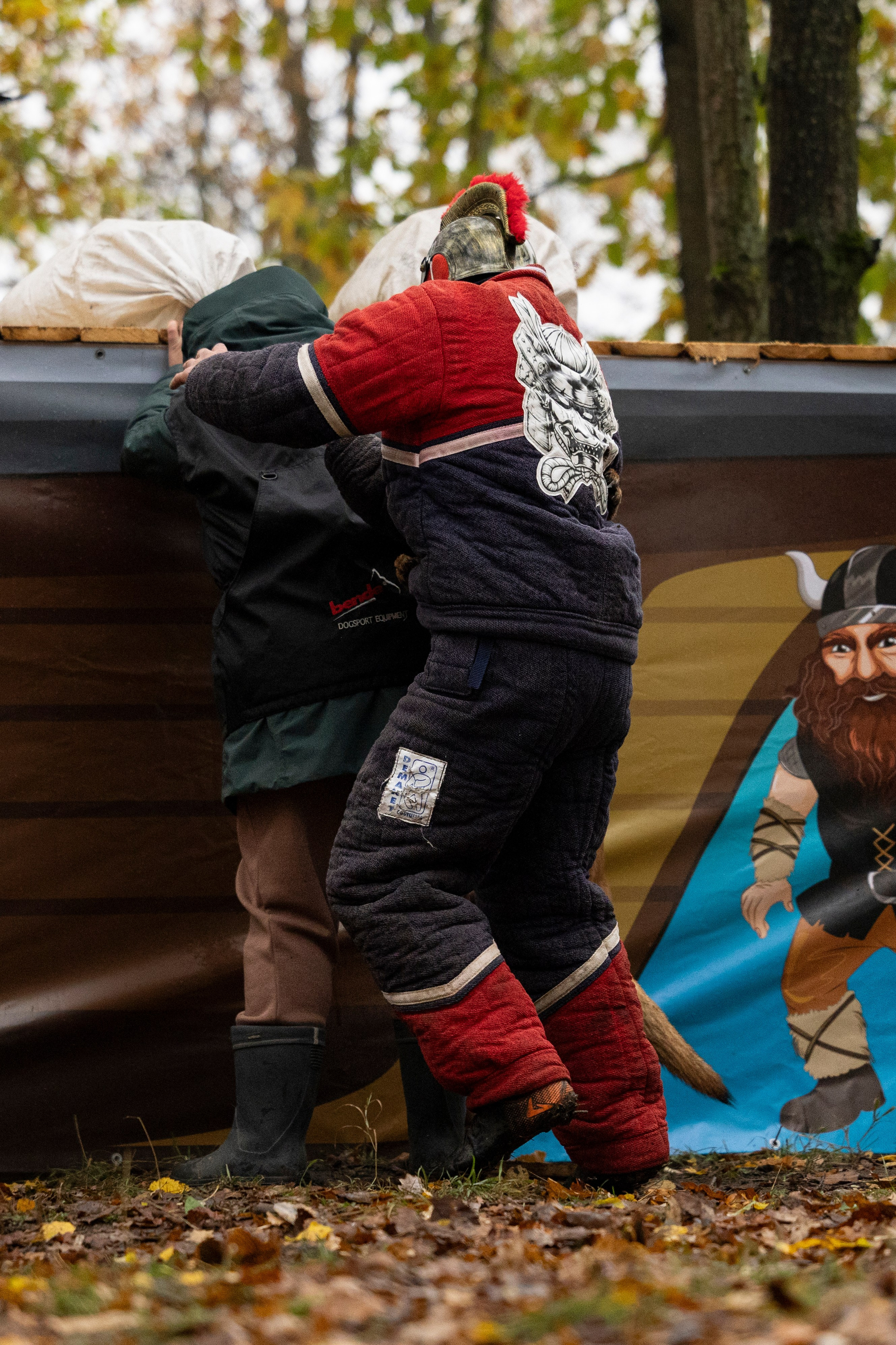 Соревнования по Мондьорингу г. Вологда. Фотограф-анималист Анна Маринич