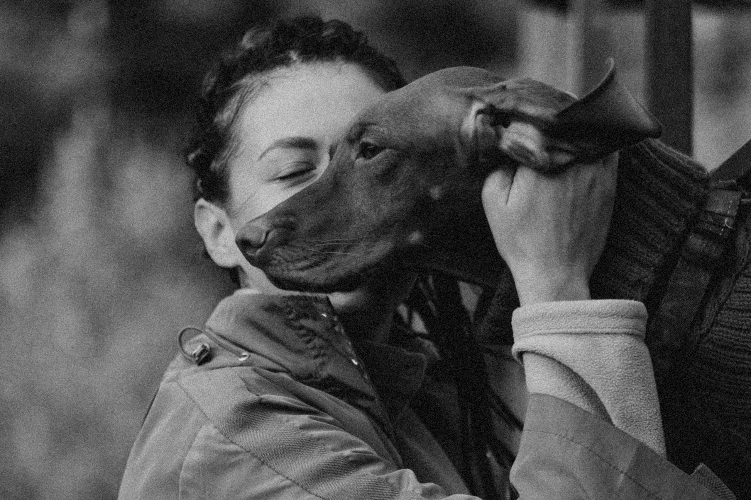 Трисс, Эста, Яся и их семья. Фотограф — Анималист | Санкт-Петербург