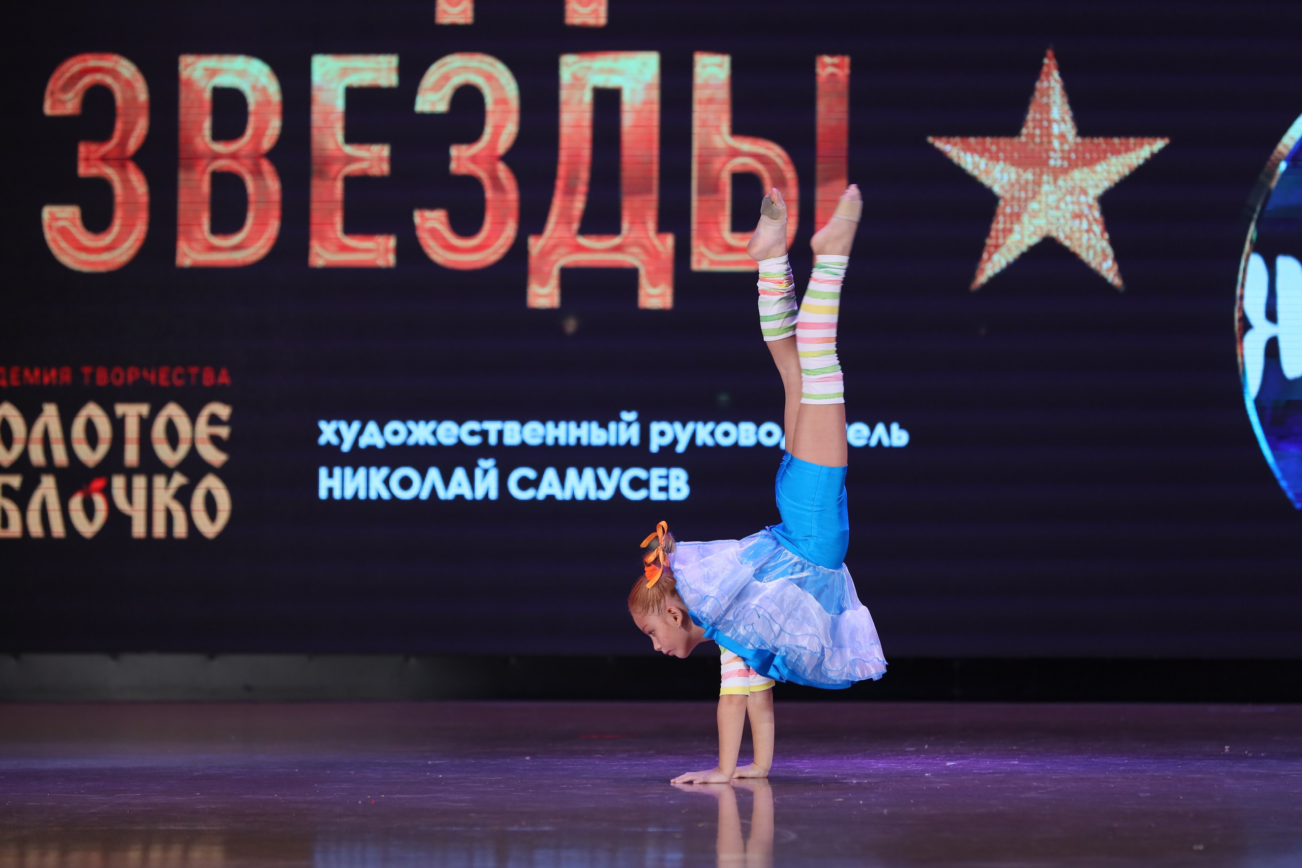 4 ноября, блок 1, видео, номера 49-58, г. Краснодар. Золотое яблочко