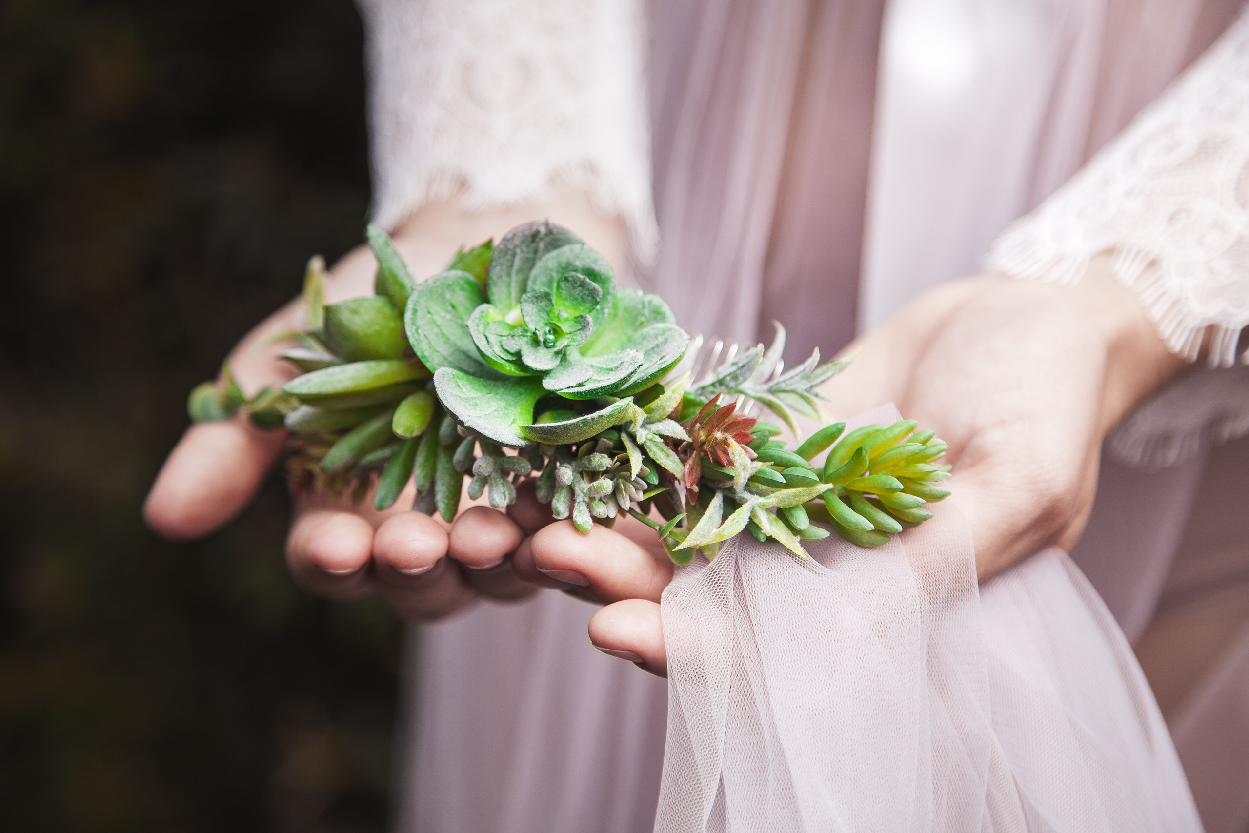Анна и Антон. Фотограф в Санкт-Петербурге Елизавета Сорокина