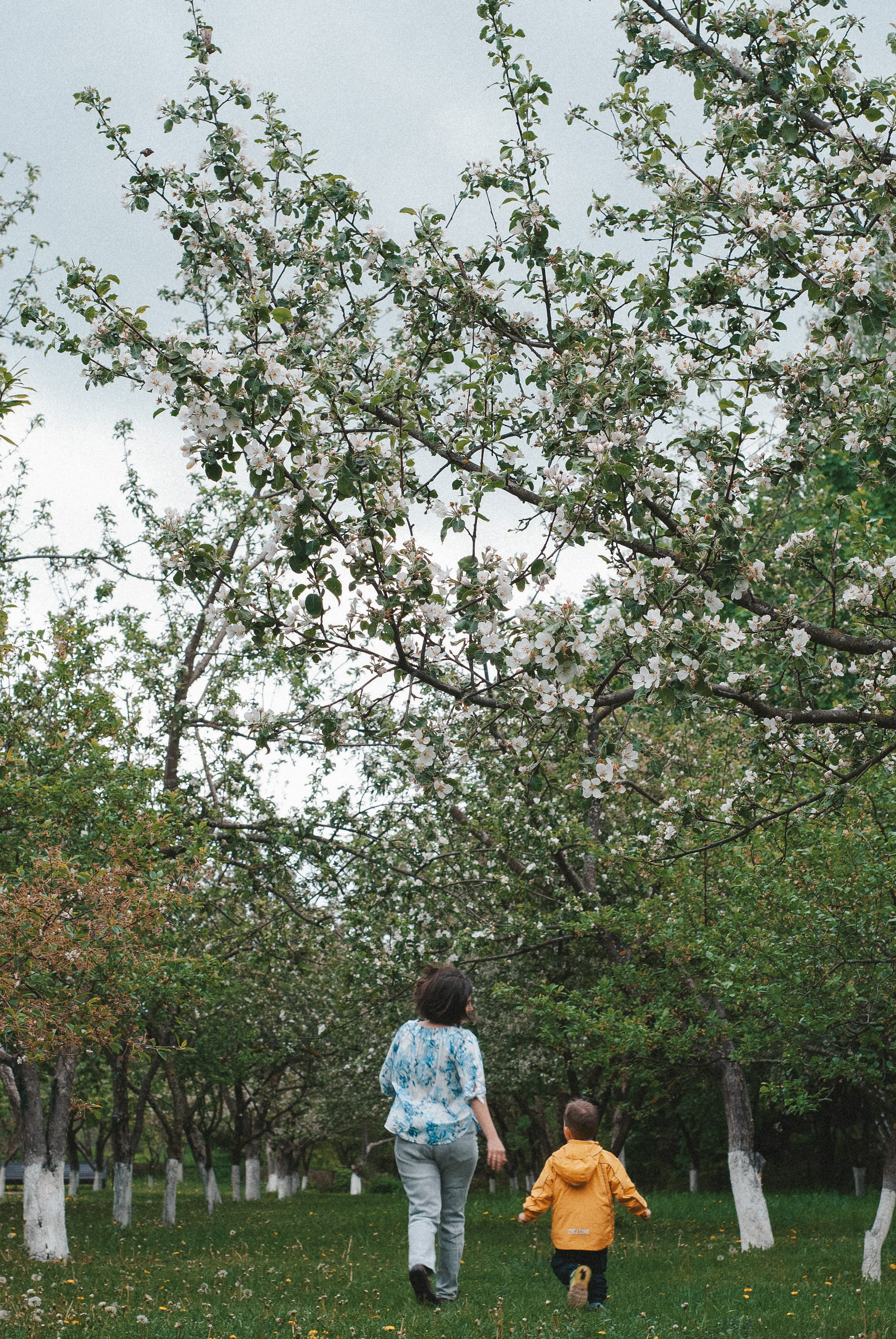 Маша, Толя, Матвей и Ниночка. Фотограф в Красногорске|Ксения Рубцова