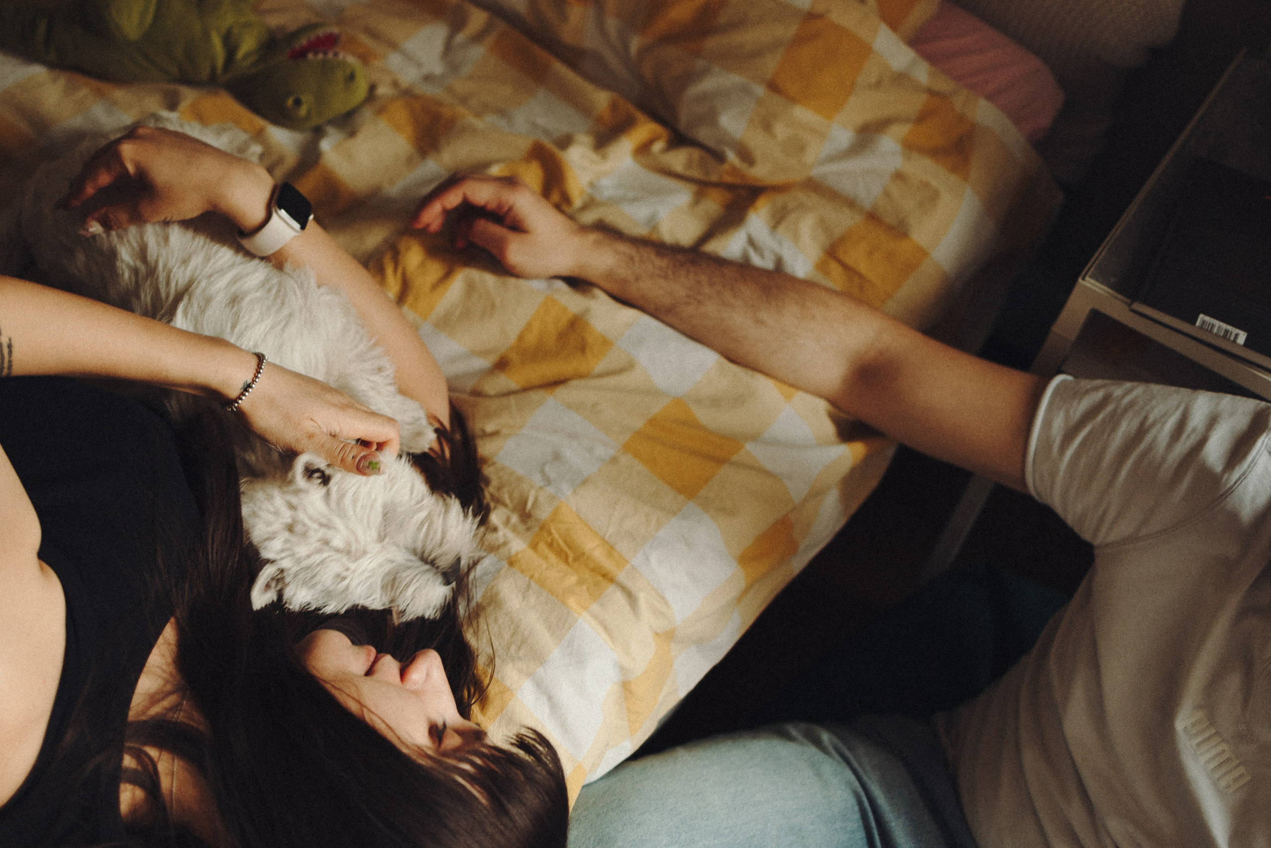 Снежуля, Мари и Саша. Фотограф анималист Анастасия Пикей