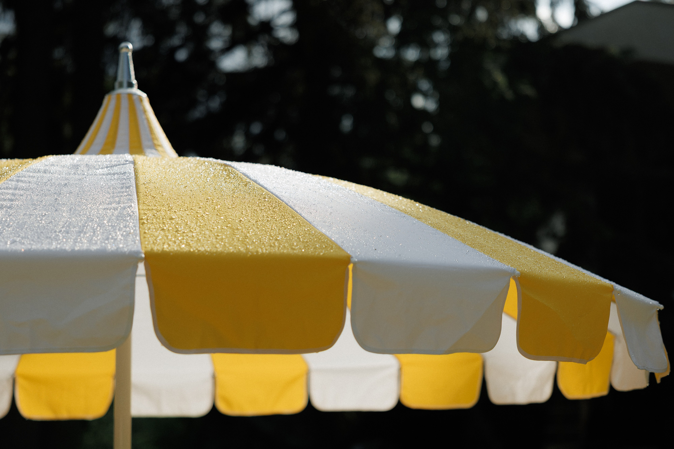 Антон и Влада. Свадебный фотограф в Москве и Санкт-Петербурге Денис Ходюков