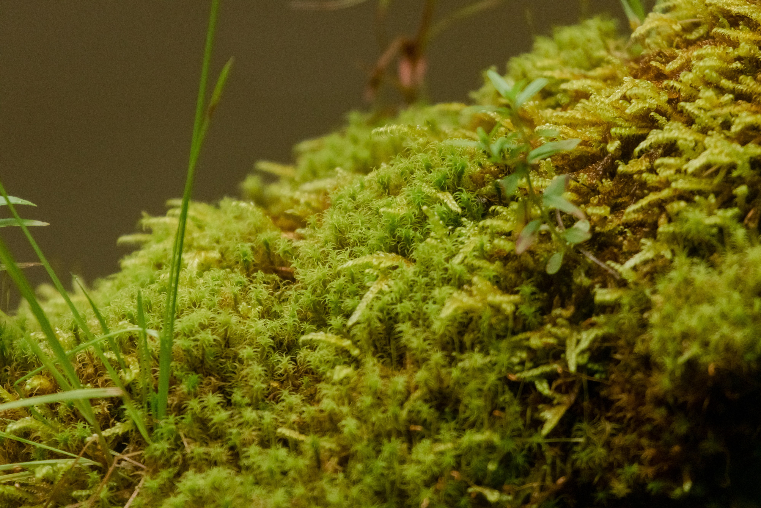 Фототур Кия. Фотограф Кирилл Мешков Кемерово