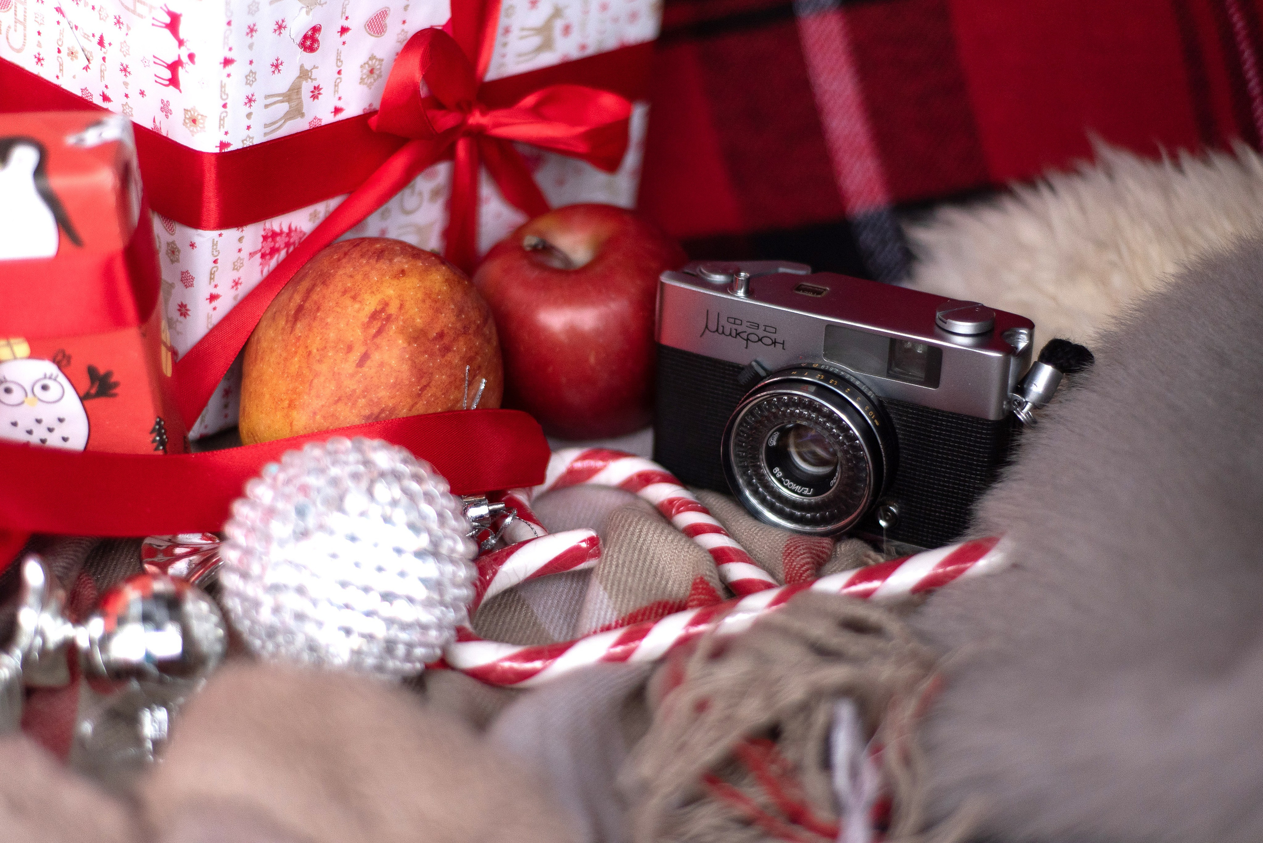 Новогодняя история. Фотограф анималист в Казани Алина Сулейманова. Фотограф животных