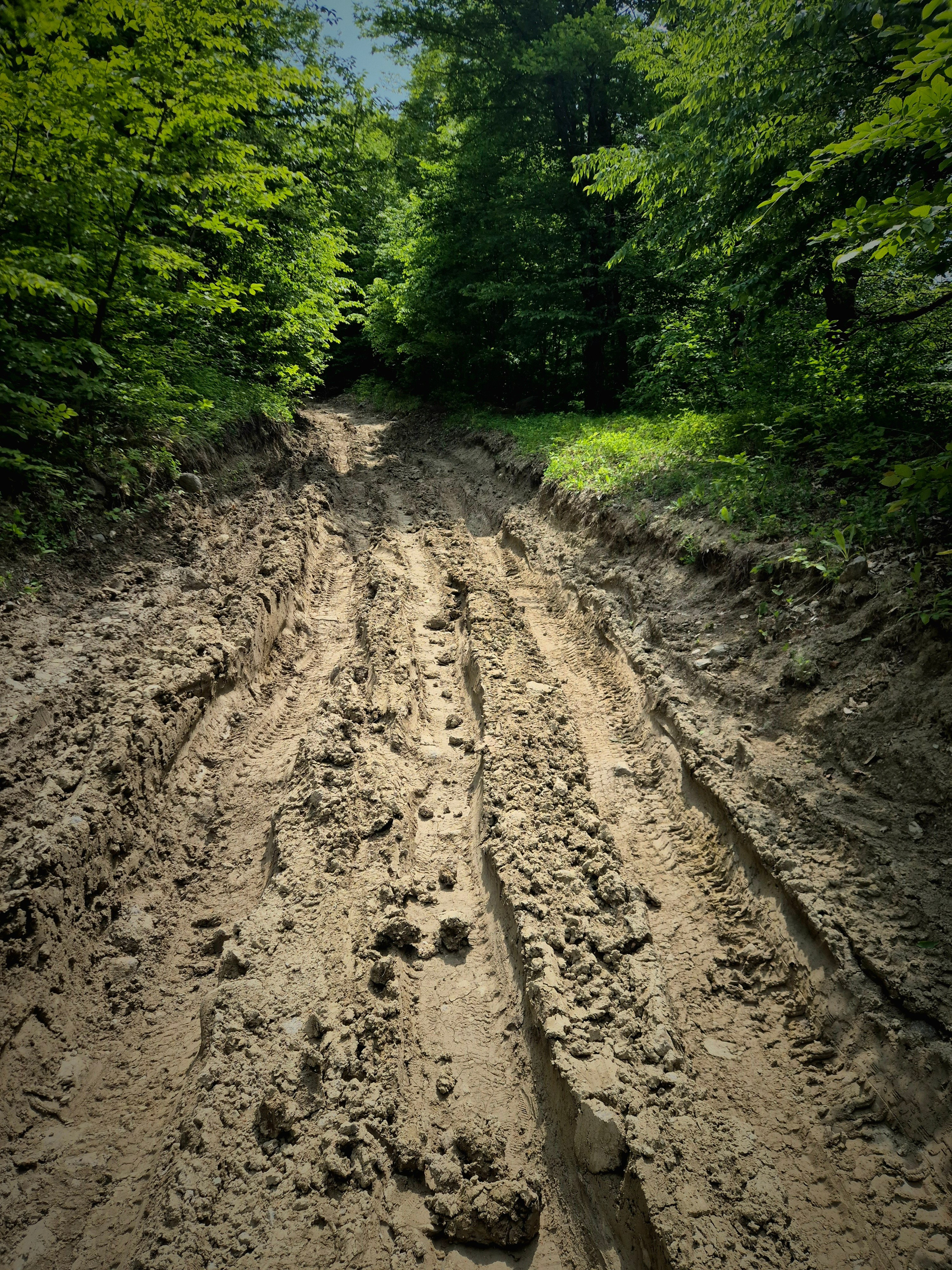 Развернулись, вышли на правильную тропу. Игорек питал иллюзии, что дойдя до озера, обратно прокатимся на такси. Чем дальше в лес, тем слои грязи на дороге нарастали, и последние 500 м стали непролазными без вездехода.