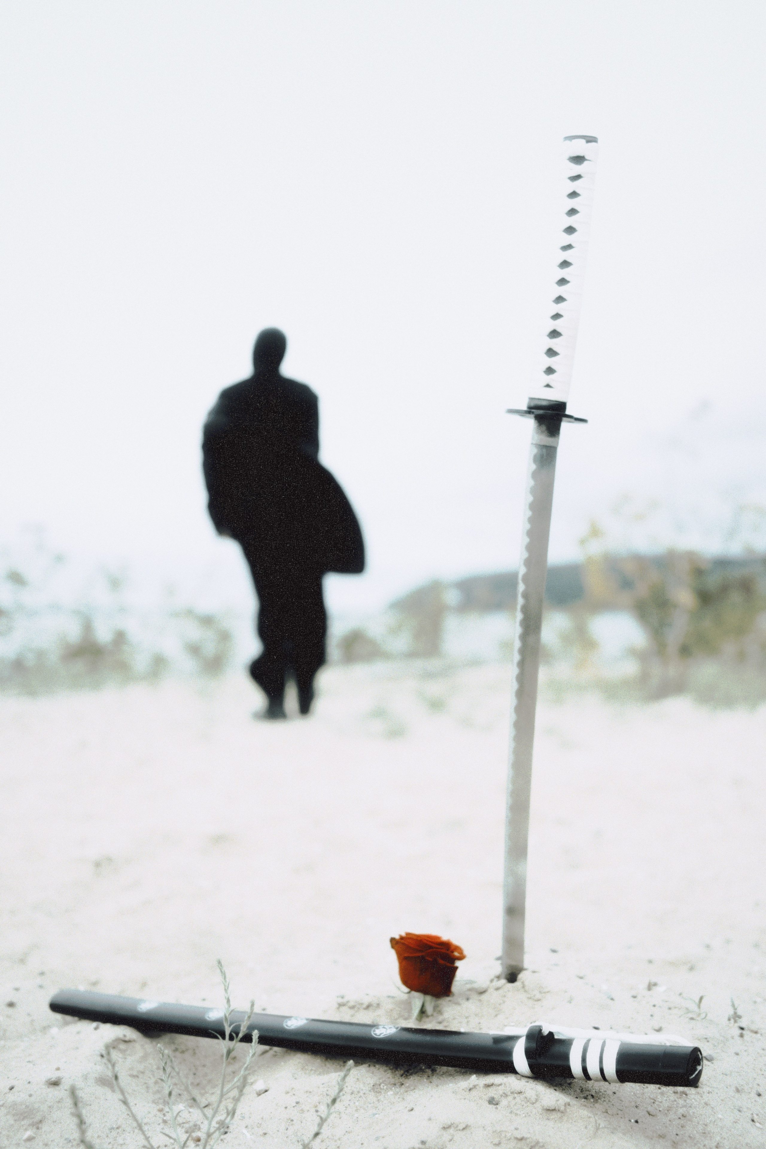 Любовь к ботанике. Фотограф Тимур Хайруллин