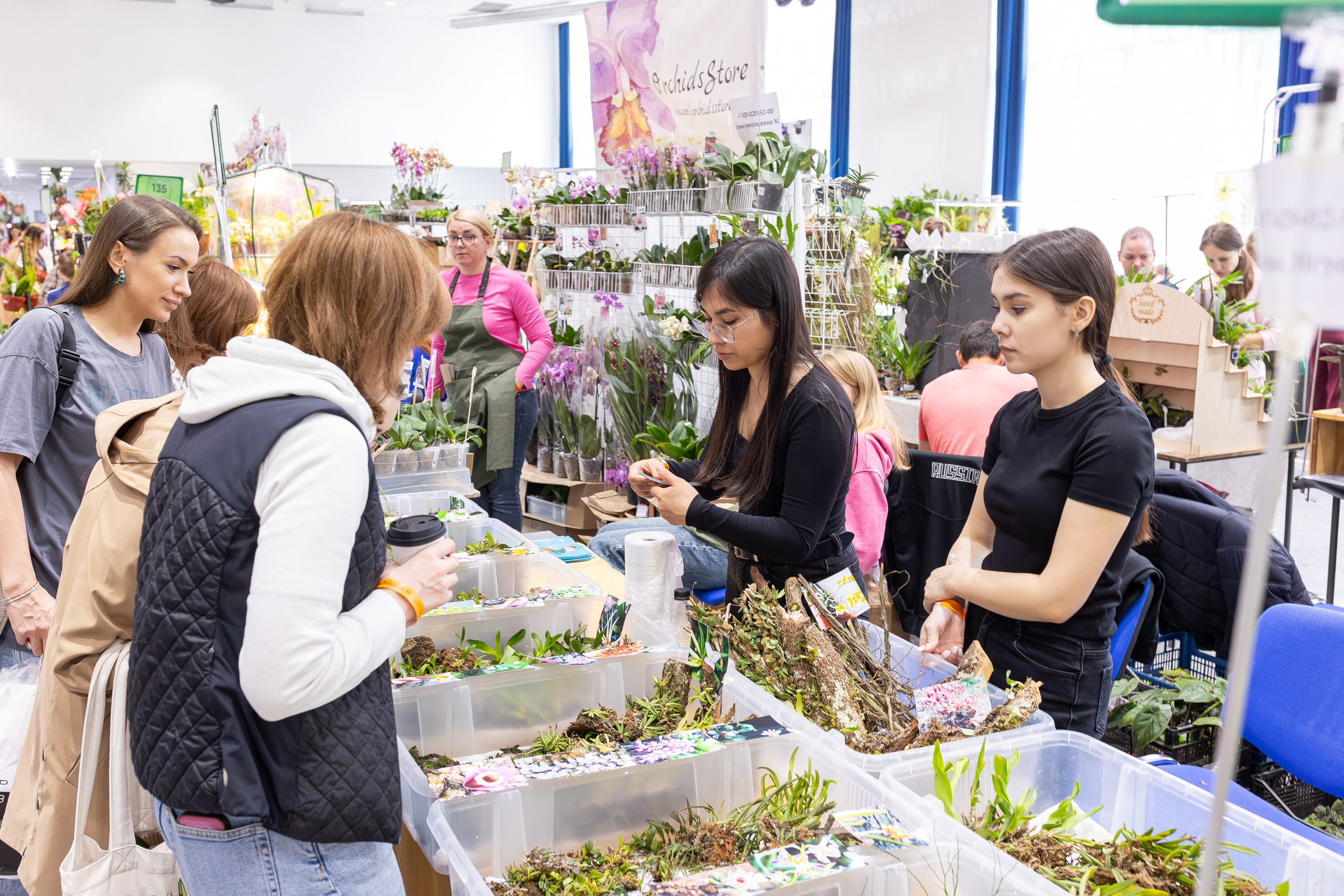 Орхидиум май 2025. Александра Куликова фотограф, Москва
