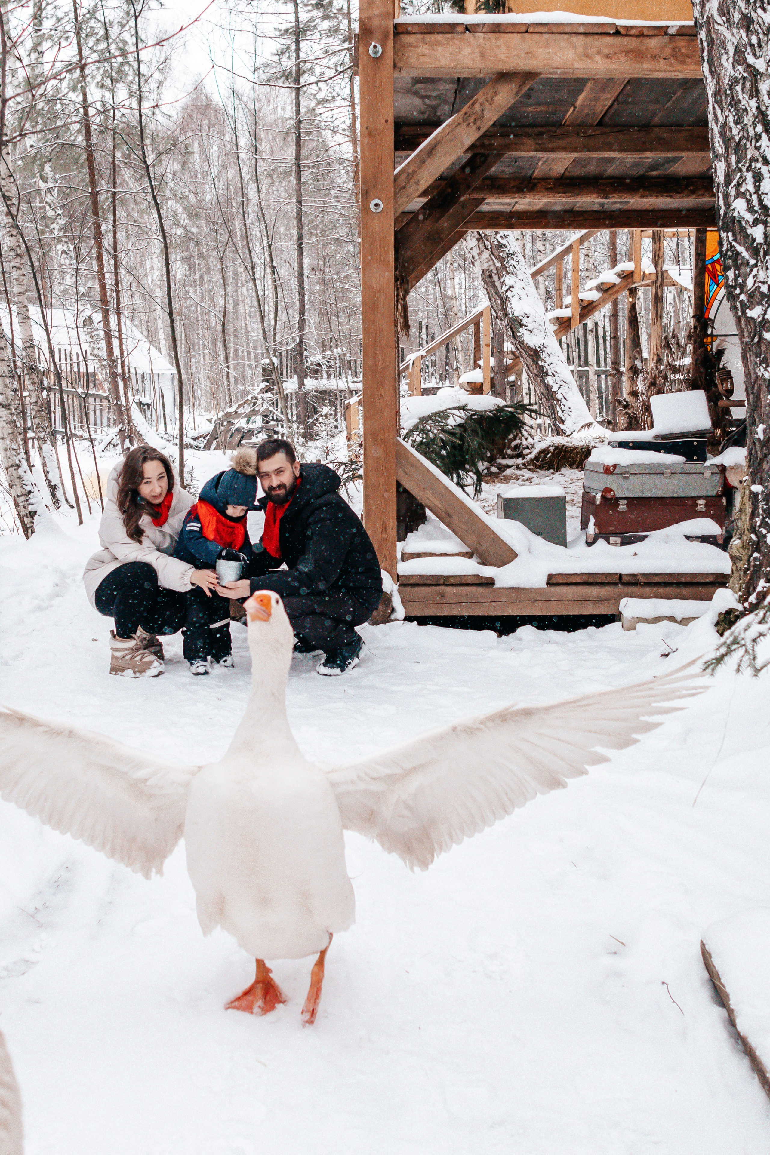 Семейная новогодняя фотосессия, Екатеринбург. Фотограф в Екатеринбурге Пойгина Елена