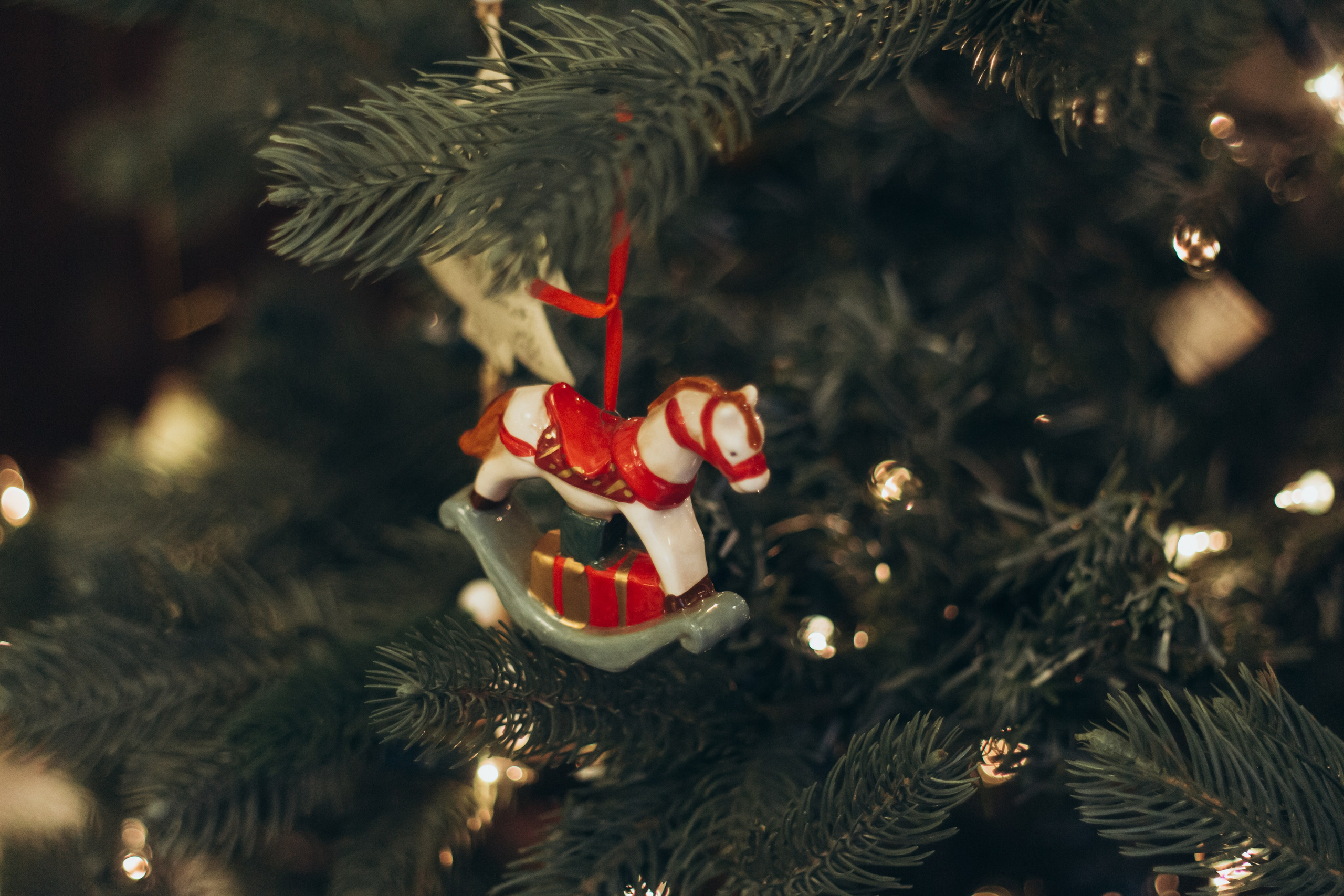 Семейный праздник. Репортажная съемка, Екатеринбург. Фотограф в Екатеринбурге Пойгина Елена