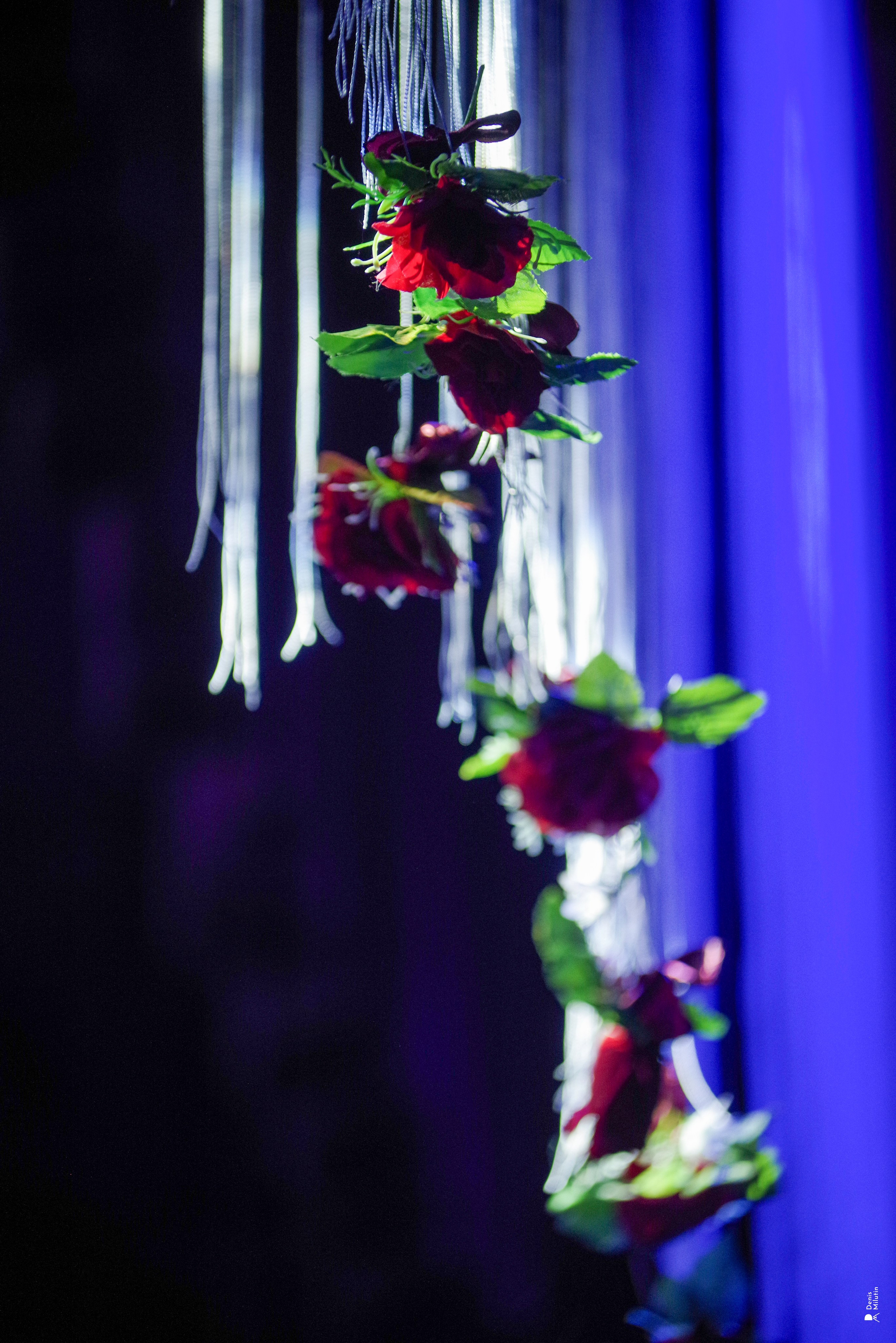 ლიკა გაბუნია. Портретный фотограф Денис Милютин