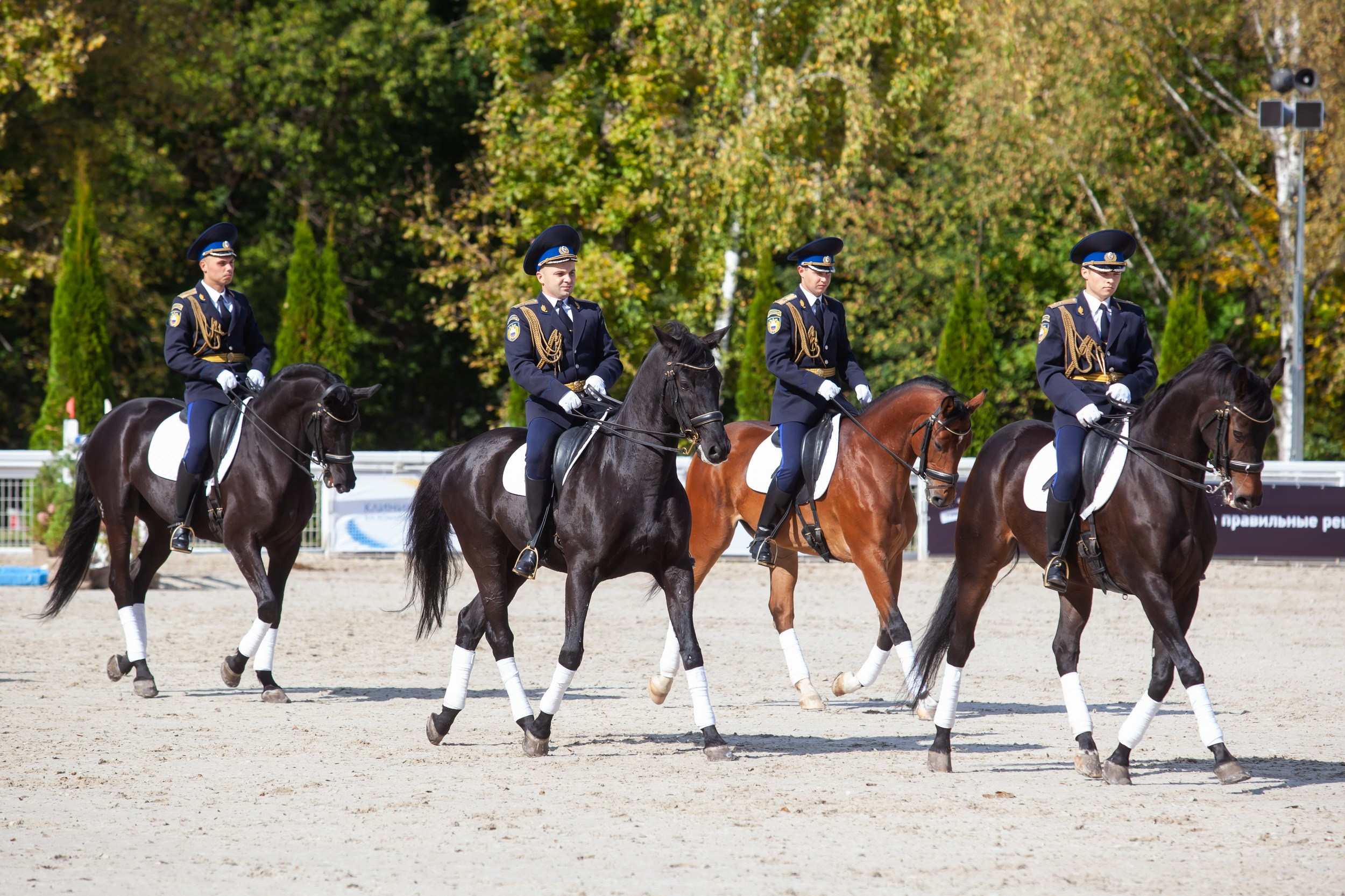 Кубок Губернатора по конкуру (21 сентября 2019). Репортажный фотограф Алексей Пирязев