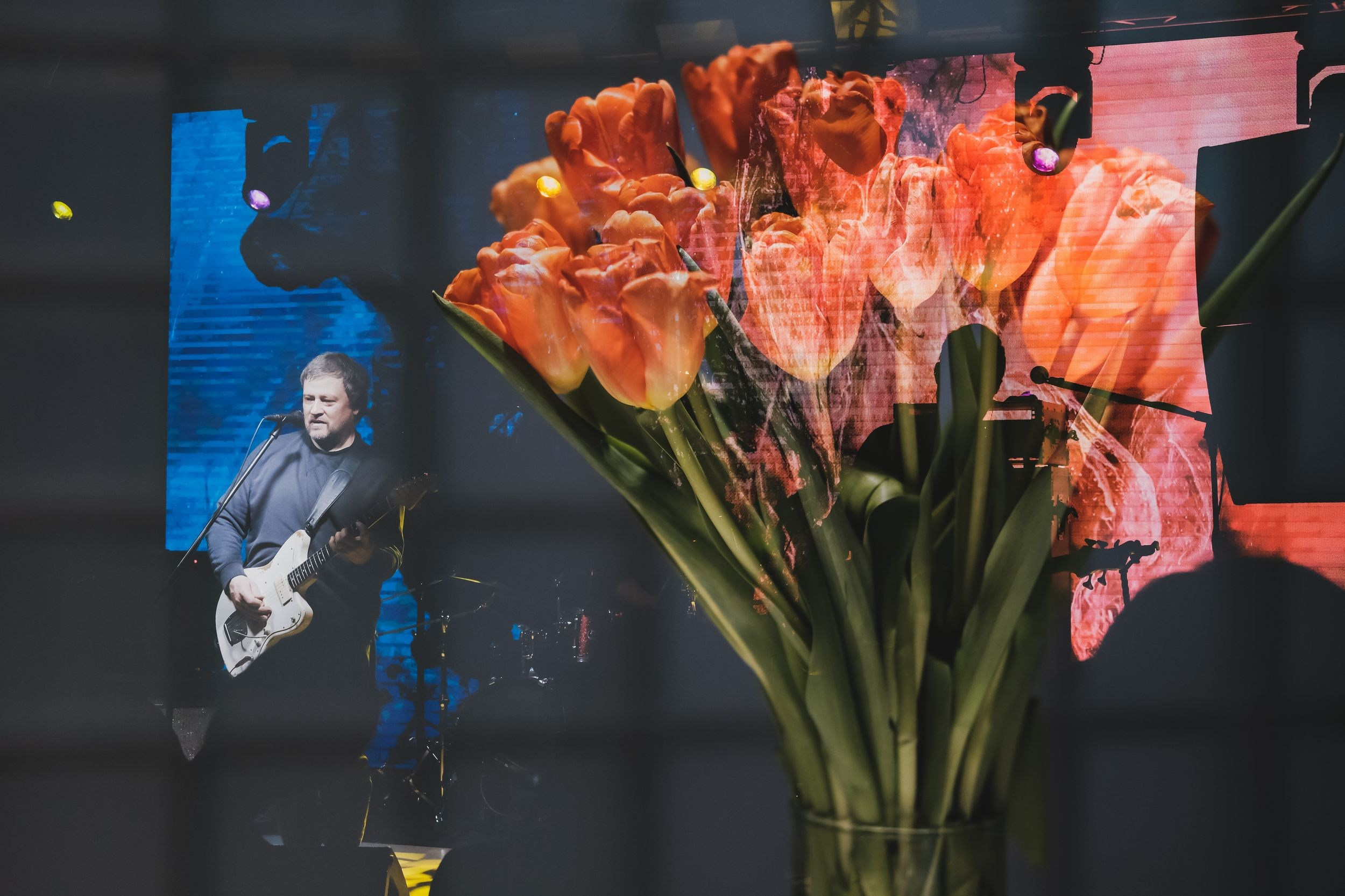 Полюса. Репортажный фотограф Алексей Пирязев