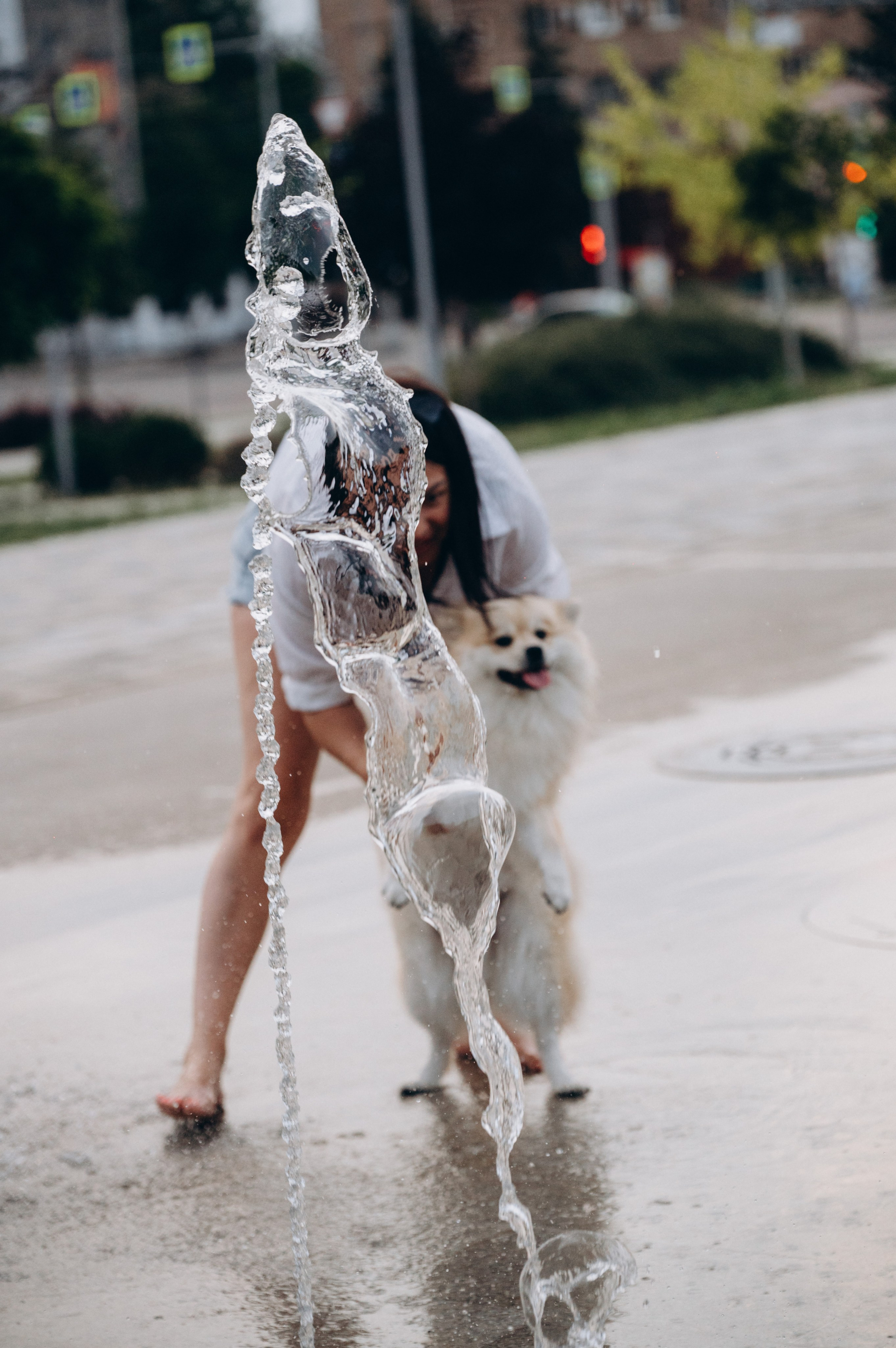 Любовь к животным. Мариуполь фото. Фотограф Мариуполь.Индивидуальные съёмки. Детские, семейные, коммерческие
