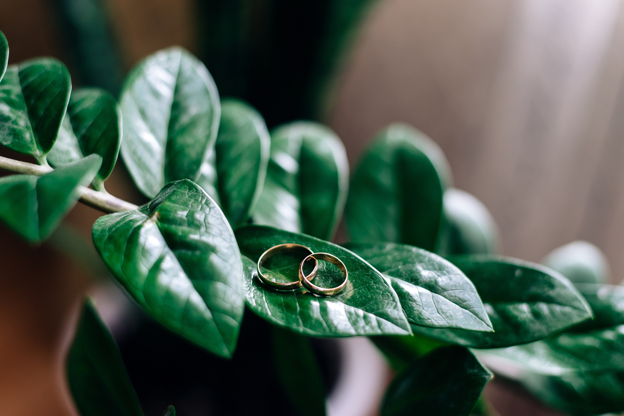 Артем и Кристина. Фотограф — МАРИЯ МЕДВЕДЕВА