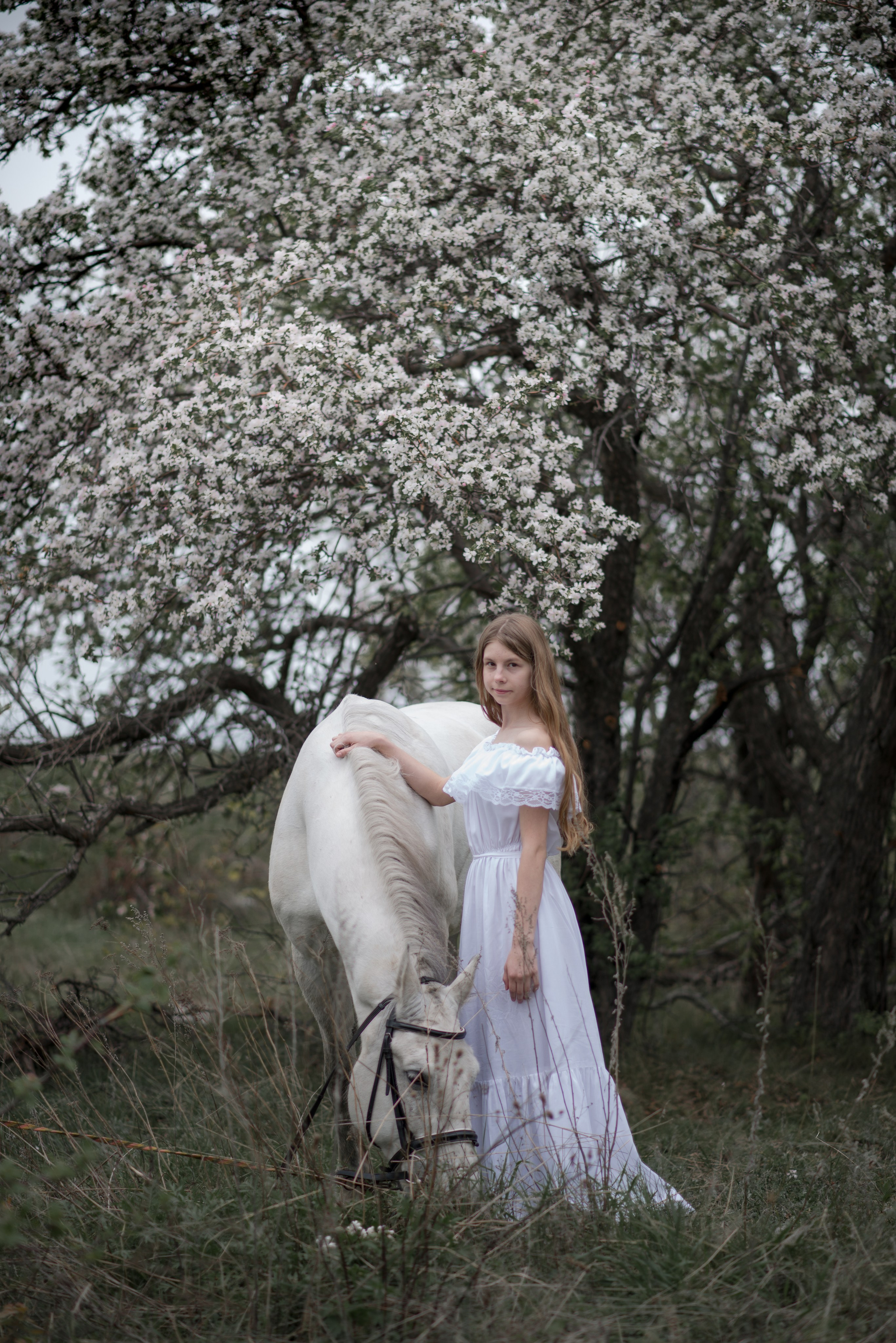 Дети и лошади. Конный фотограф в Саратове Юлия Иванова