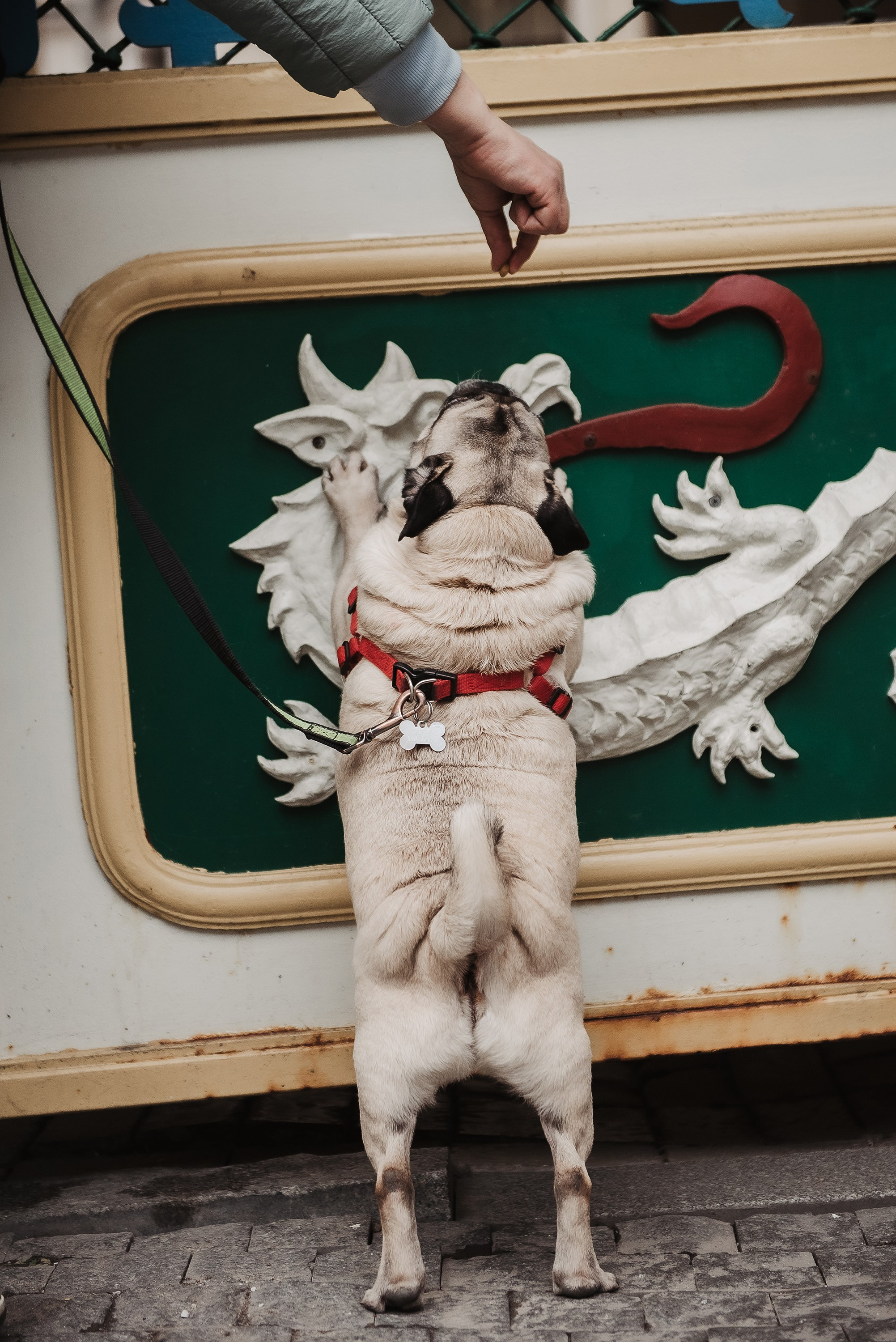 Ольга и Потапум. Прогулка к чайному дому. Семейный Фотограф в Москве Ирина Хохлова