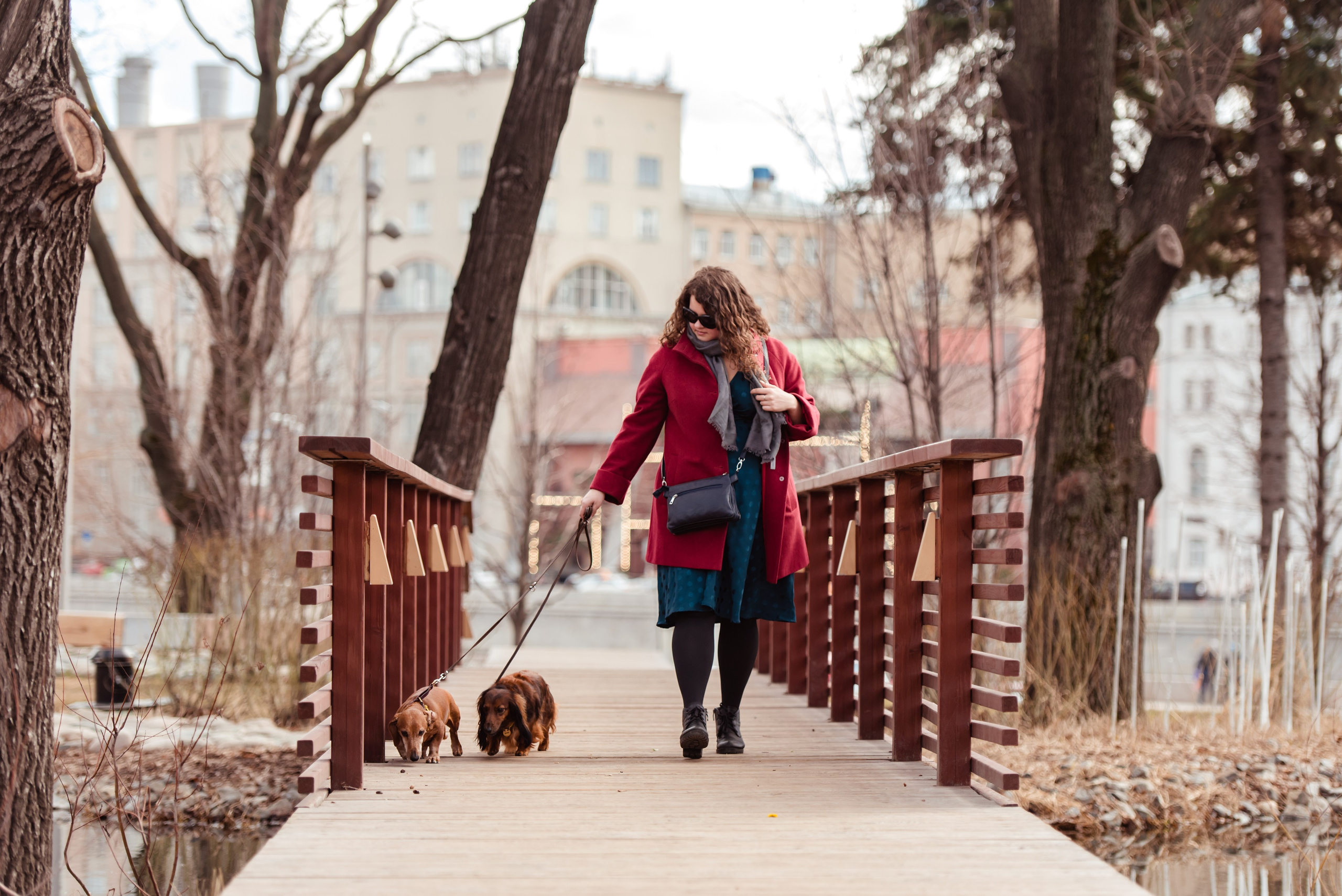 Таксы на Красной площади. Семейный Фотограф в Москве Ирина Хохлова