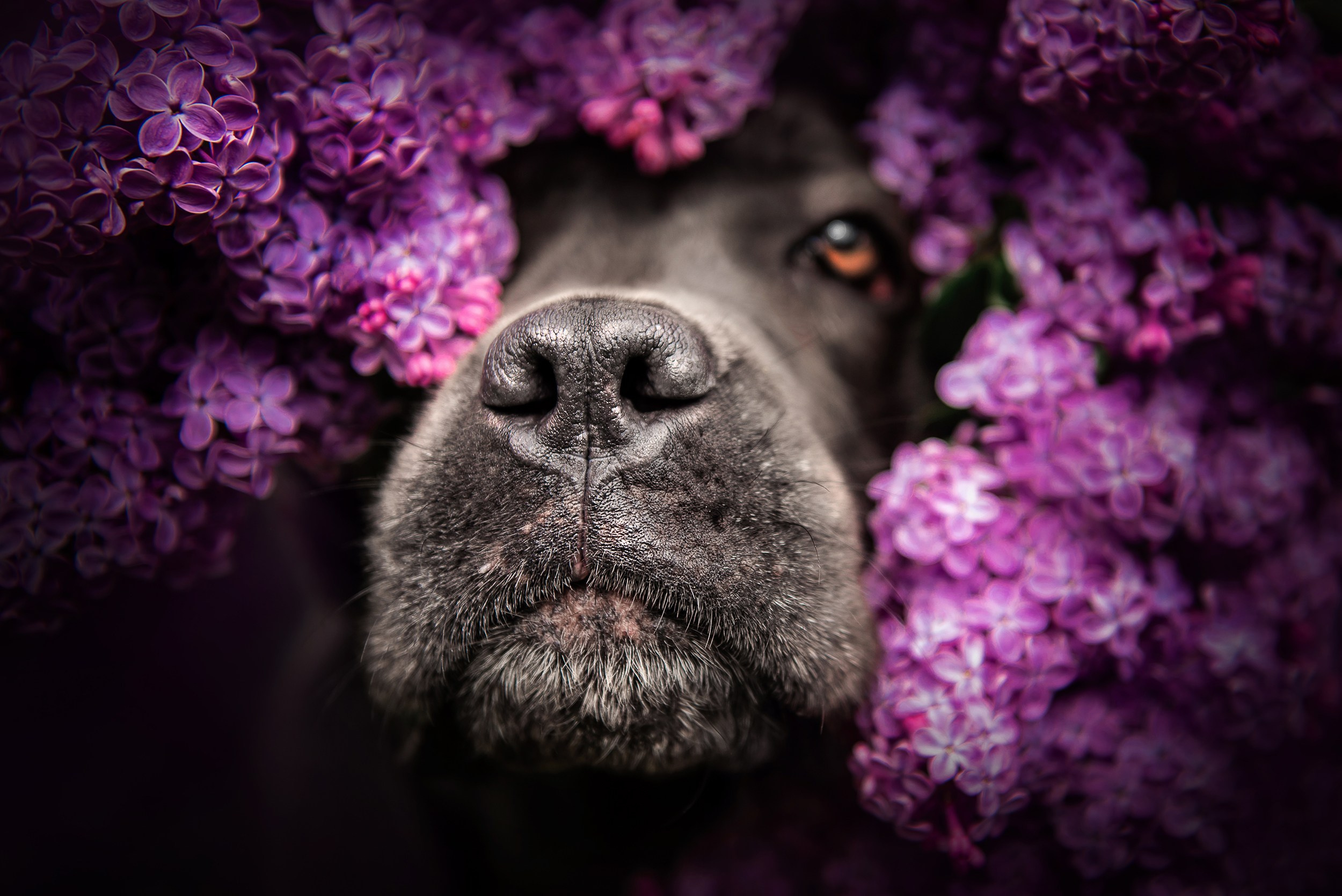 Кристина и Тея. Семейный Фотограф в Москве Ирина Хохлова