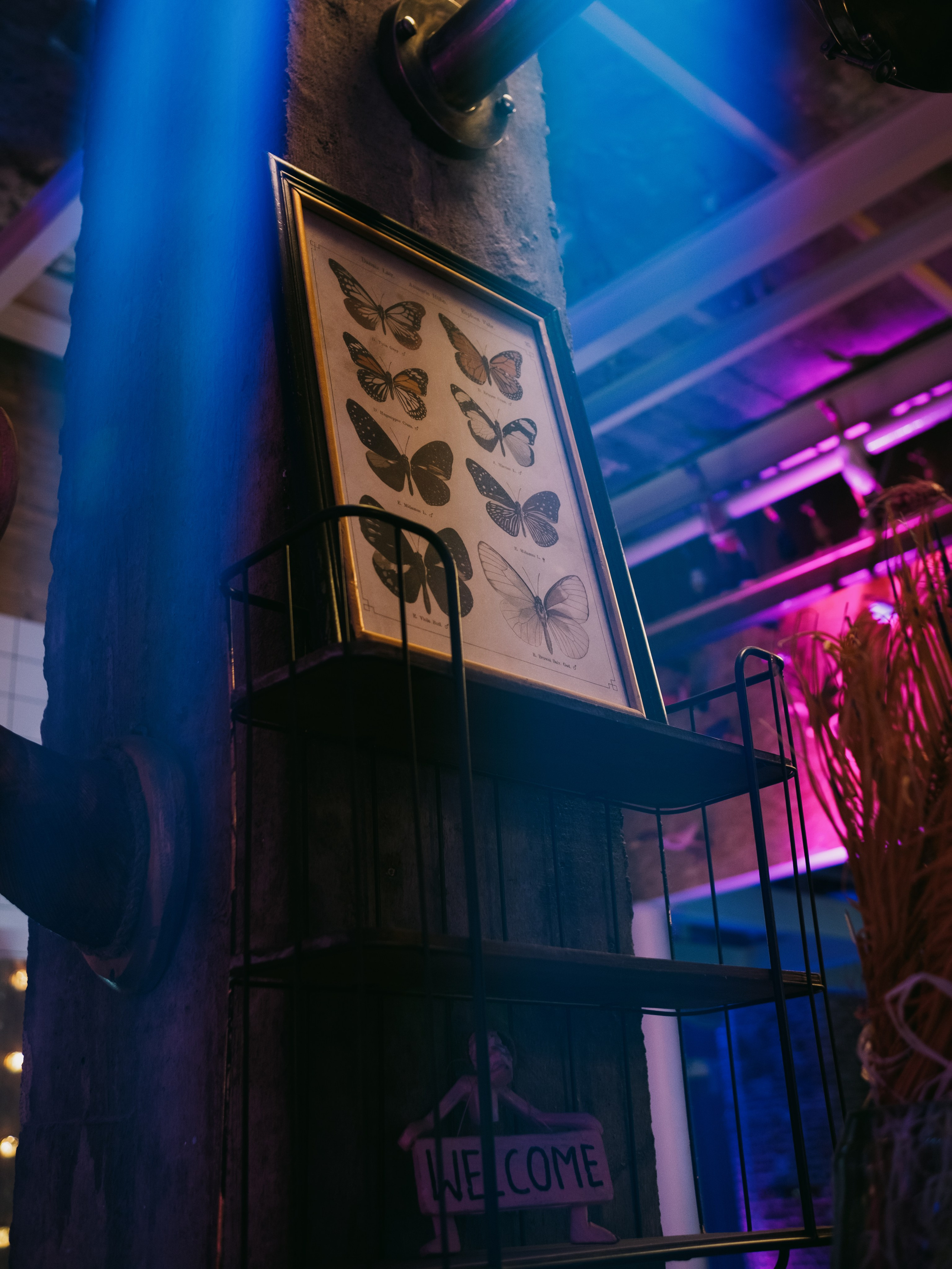 VK NIGHT SPb. Репортажный и портретный фотограф в Москве Илья Спиридонов