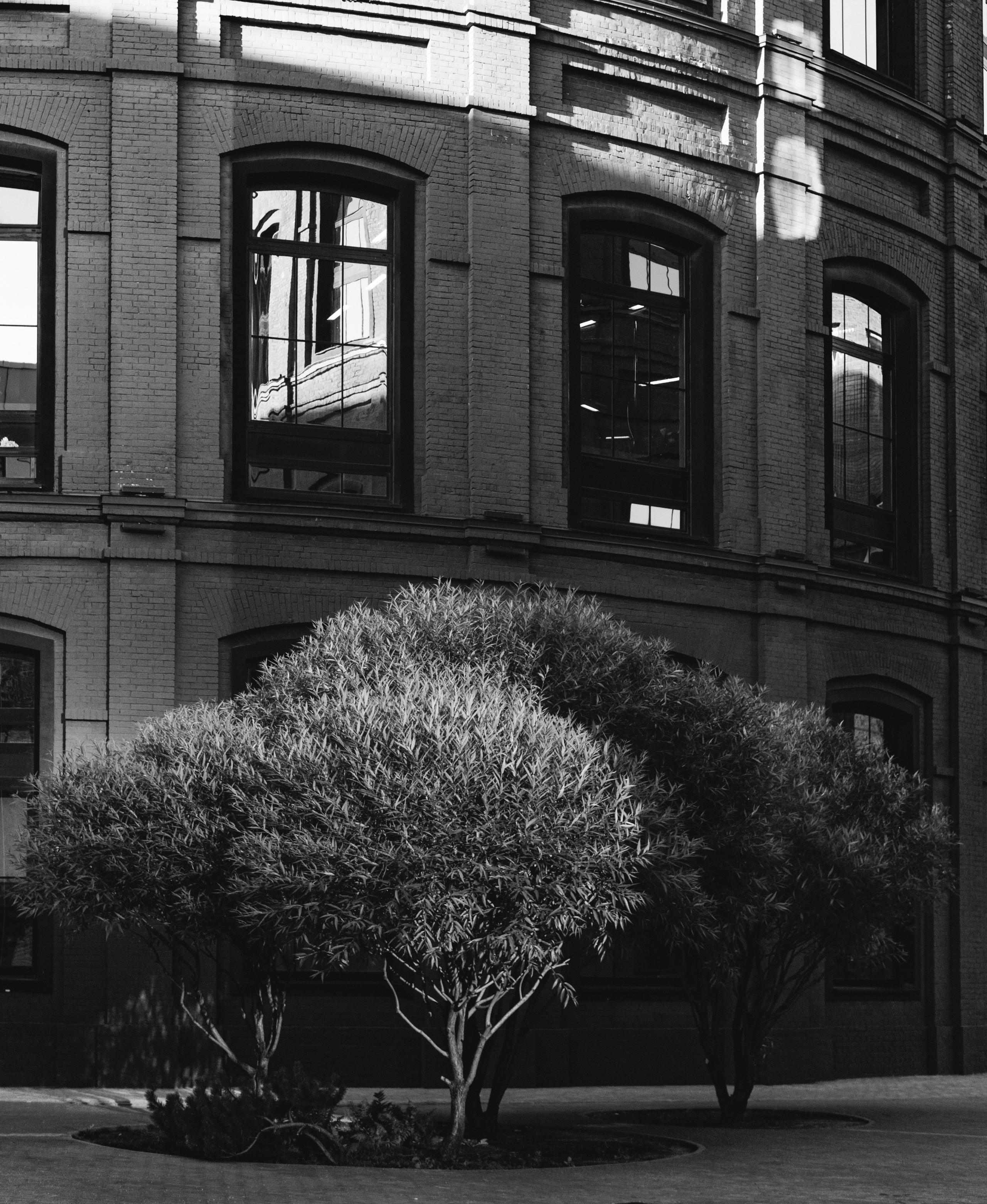 Городские истории. Фотограф в Москве Юлия Першина