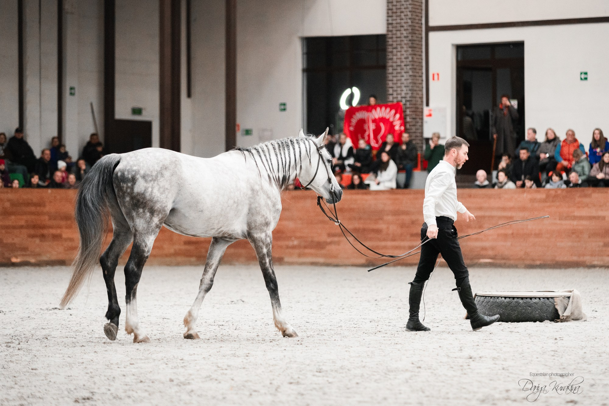 8-я международная выставка Конная Россия. Конный фотограф Куракина Дарья • Фотосессии с лошадьми