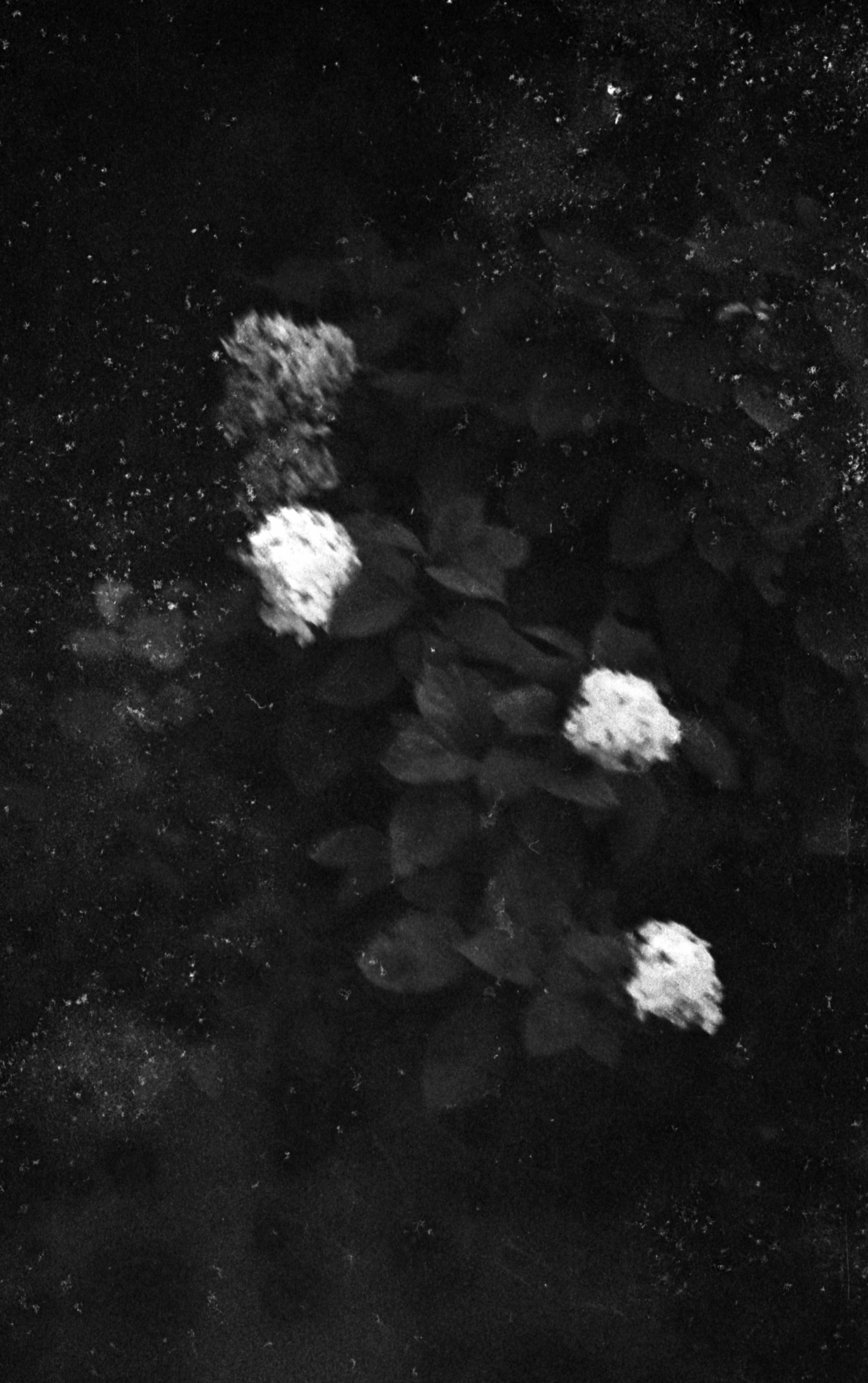 Моменты. Татьяна Белякова — Фотохудожник | Концептуальная аналоговая фотография
