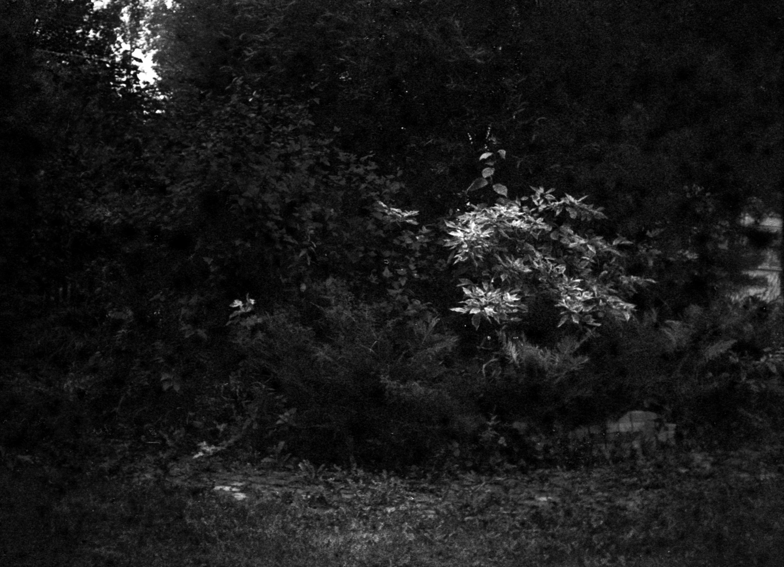 Моменты. Татьяна Белякова — Фотохудожник | Концептуальная аналоговая фотография