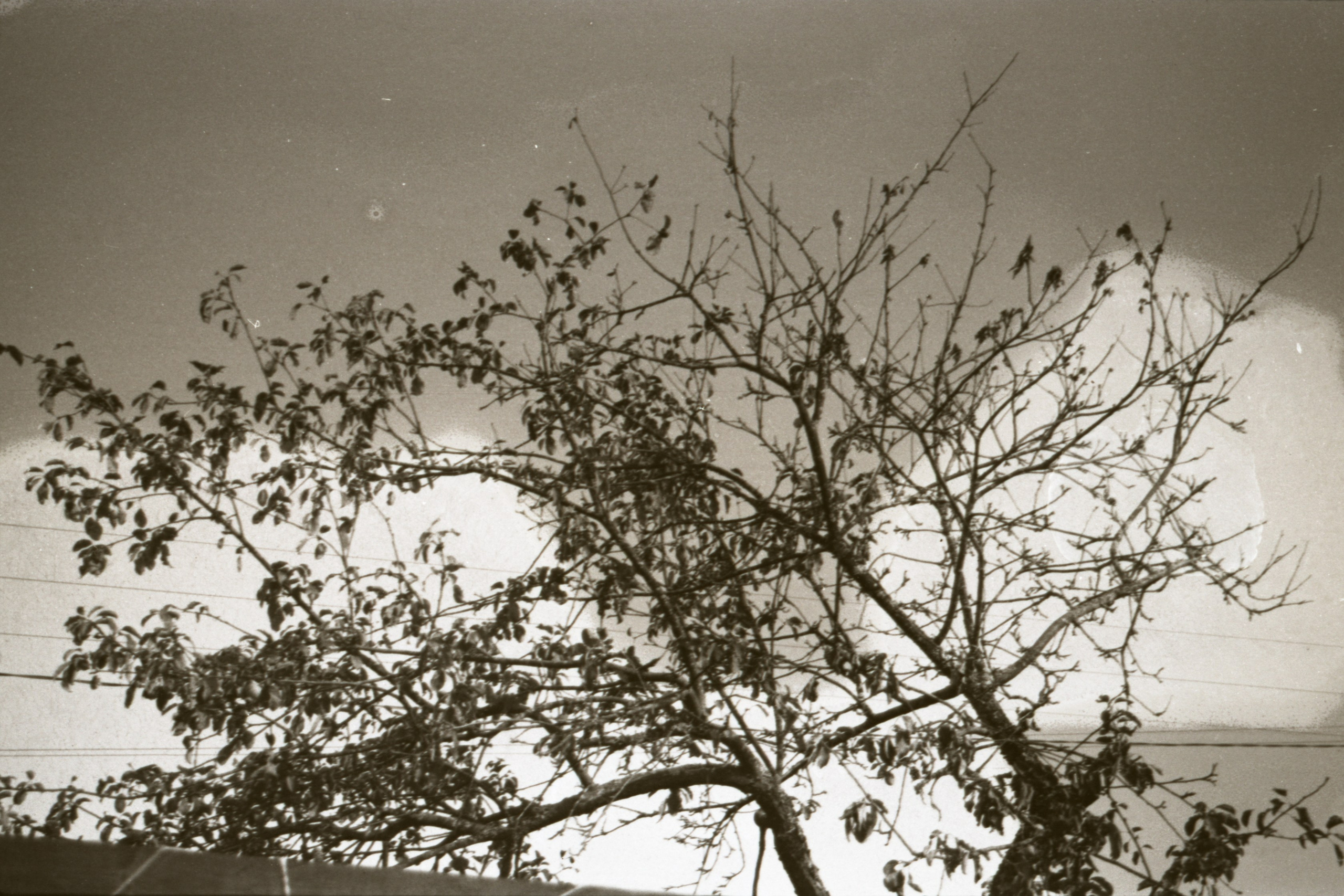 Татьяна Белякова — Фотохудожник | Концептуальная аналоговая фотография