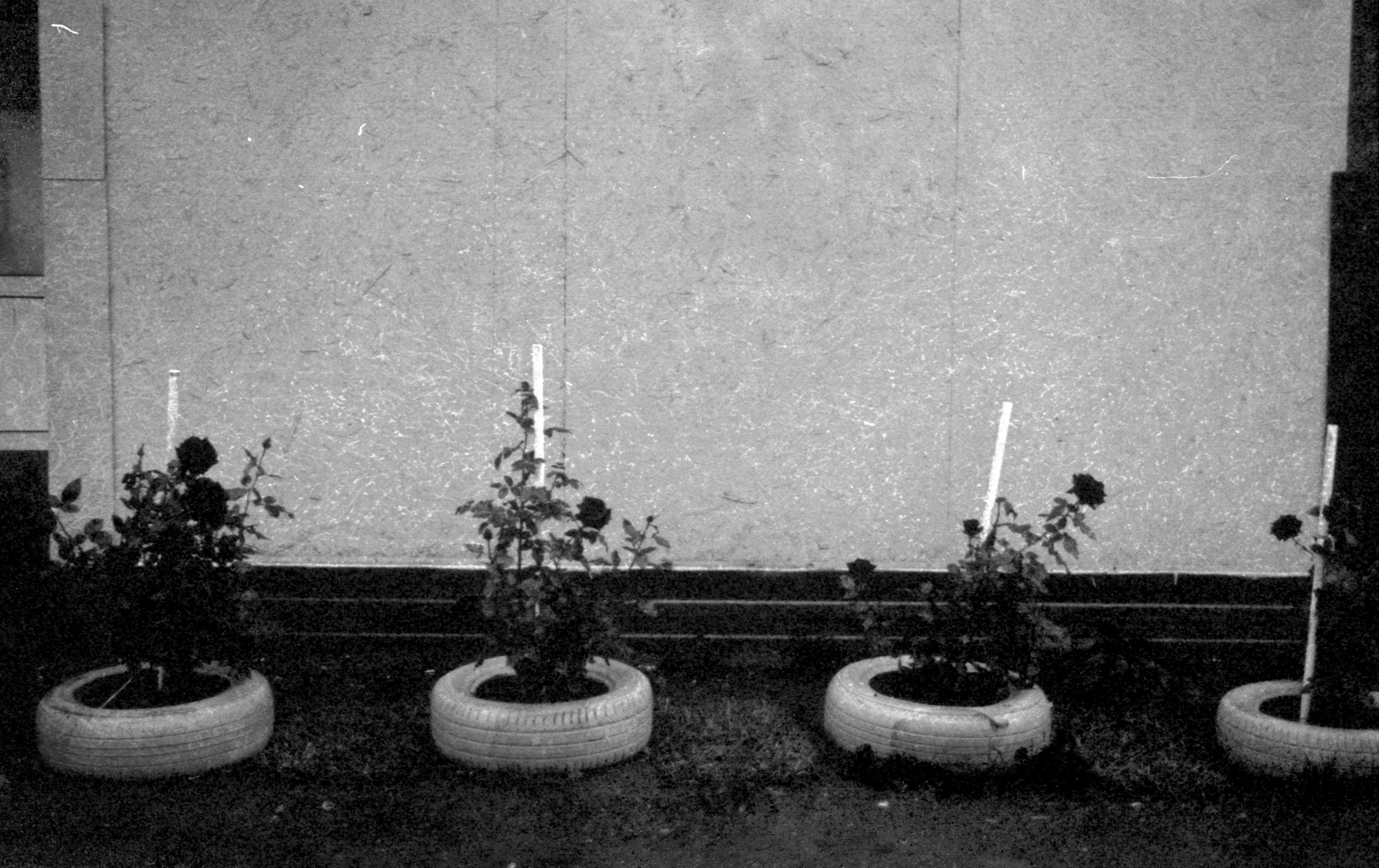 Моменты. Татьяна Белякова — Фотохудожник | Концептуальная аналоговая фотография