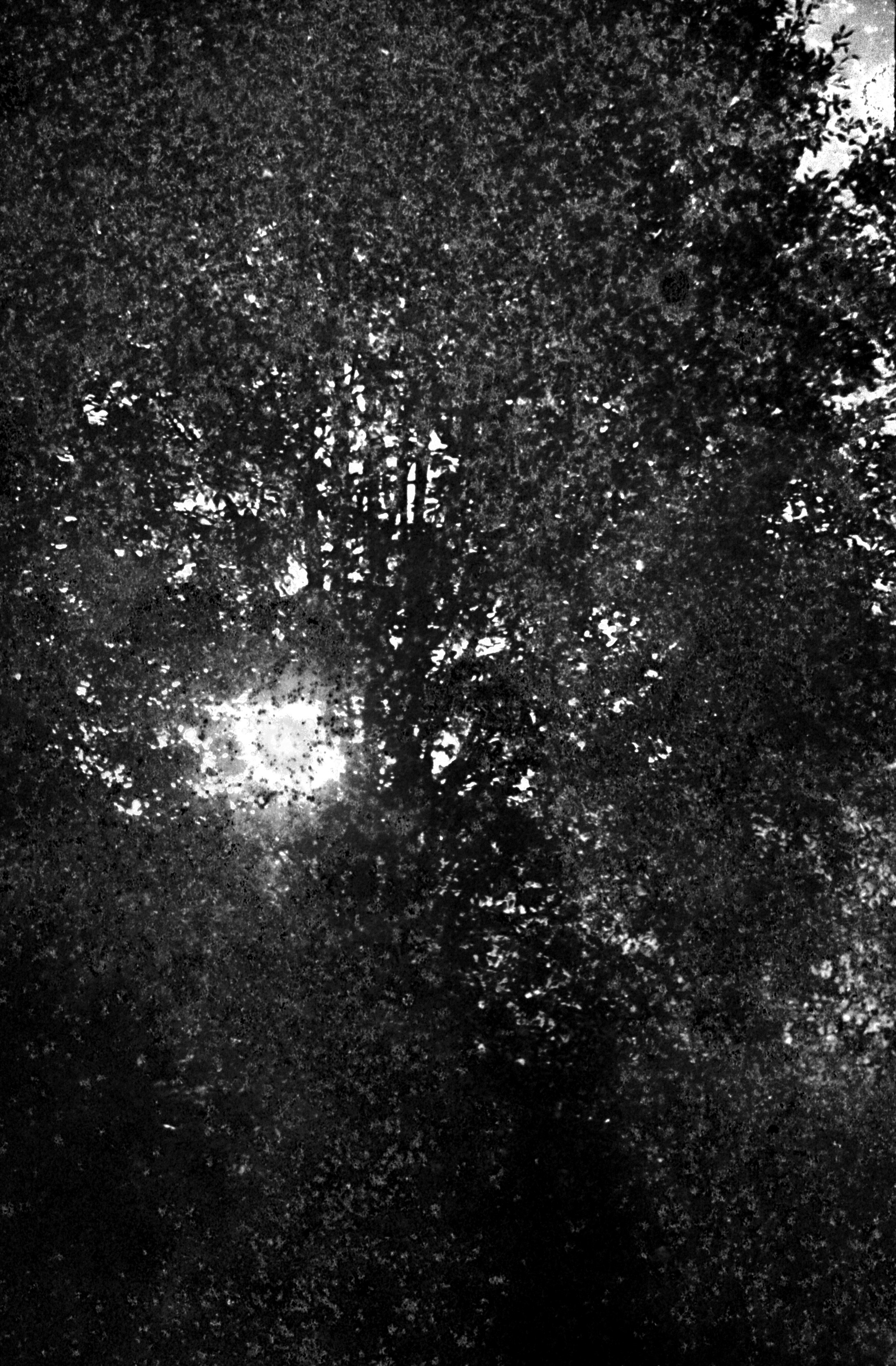 Моменты. Татьяна Белякова — Фотохудожник | Концептуальная аналоговая фотография