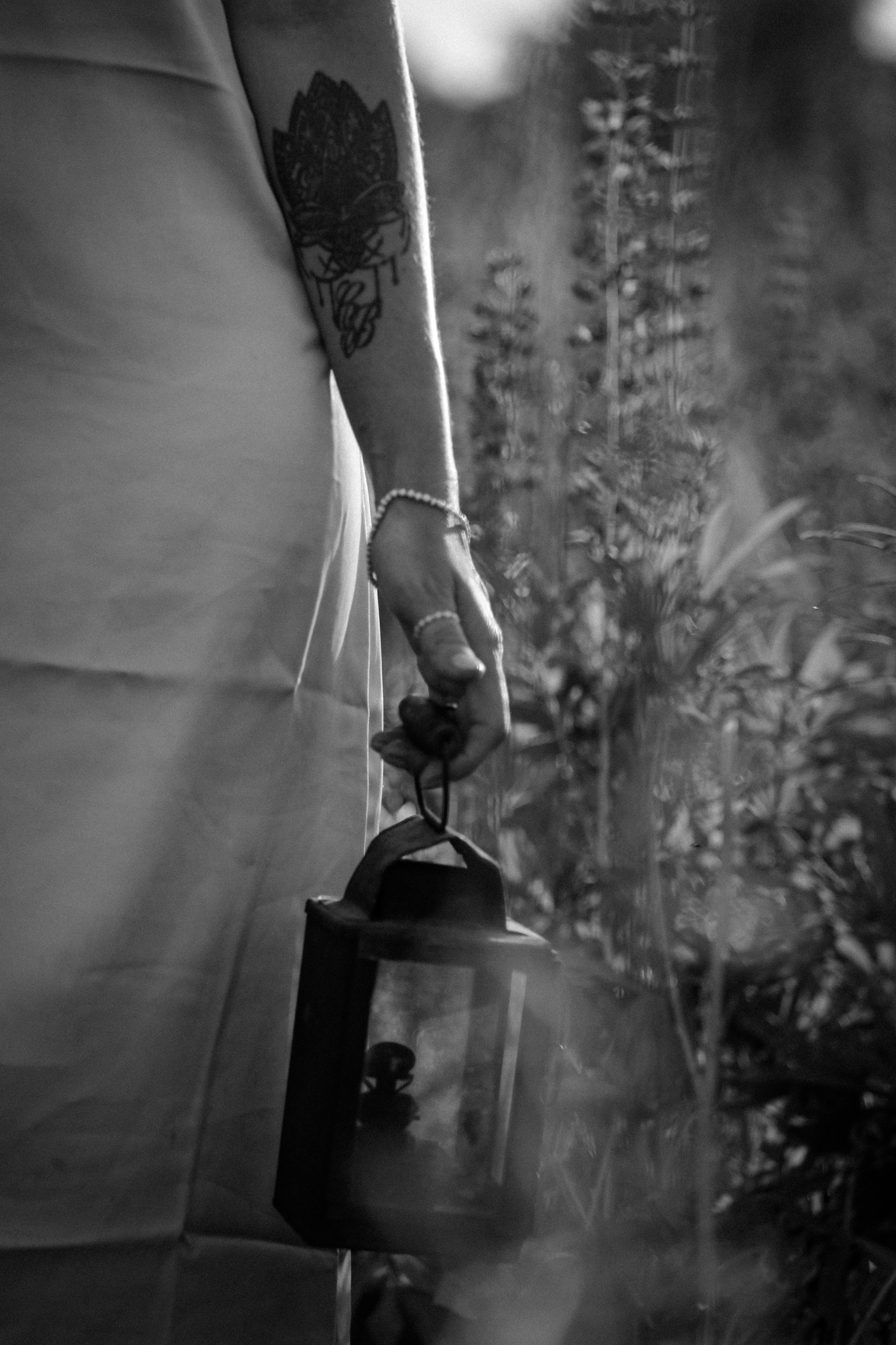 Среди люпинов. Efremovaphoto.ru