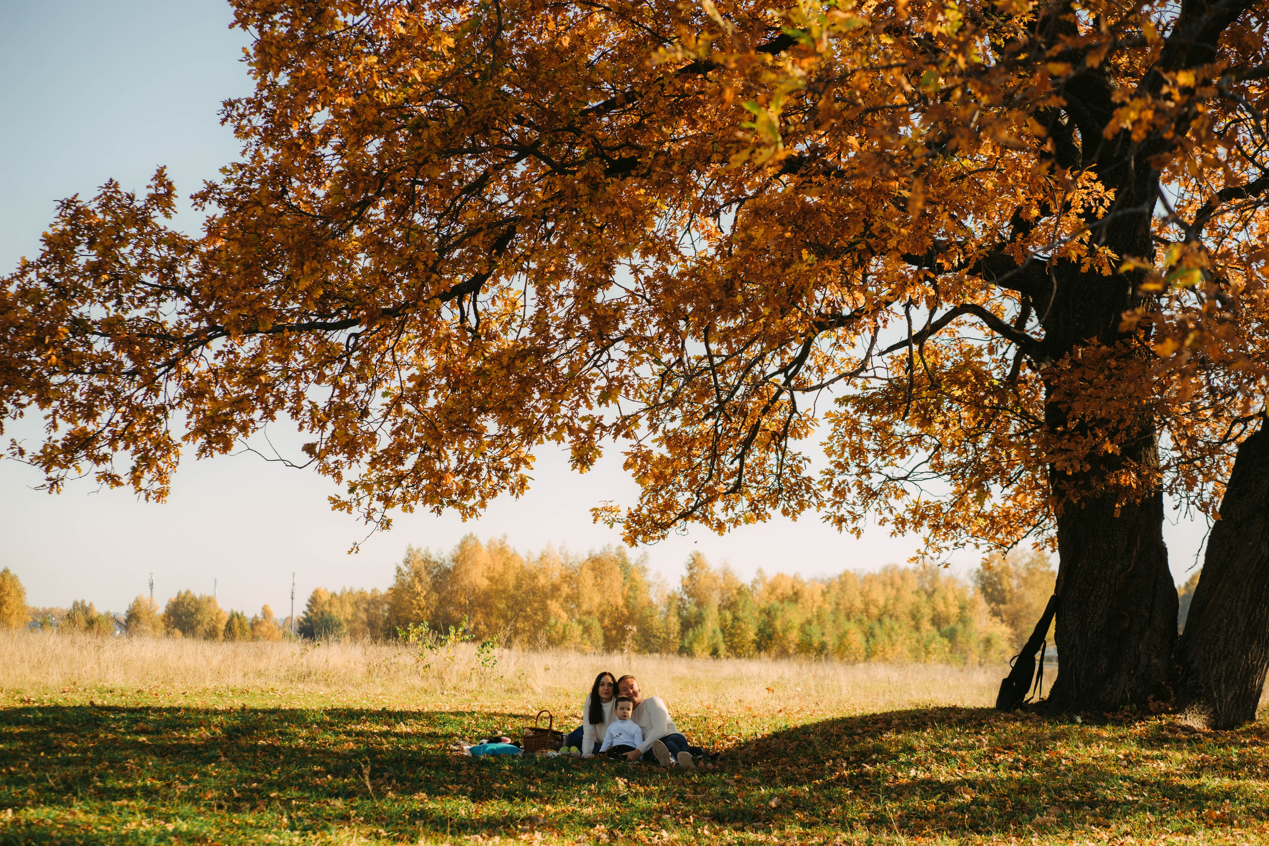 Купаясь в золоте. Olgamashh